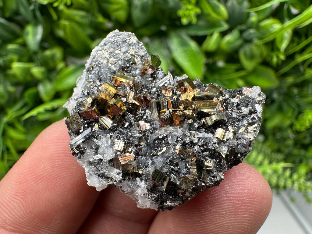 Pyrite Sphalerite Quartz  Mineral Specimen, Krushev dol Mine