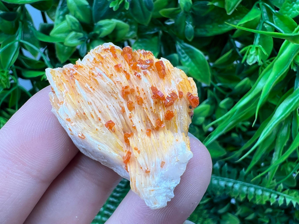 Red Vanadinite on Barite from Marocco,crystal minerals Speciment cluster Vanadinite crystal Vanadinite Geology Vanadinite cluster minerals