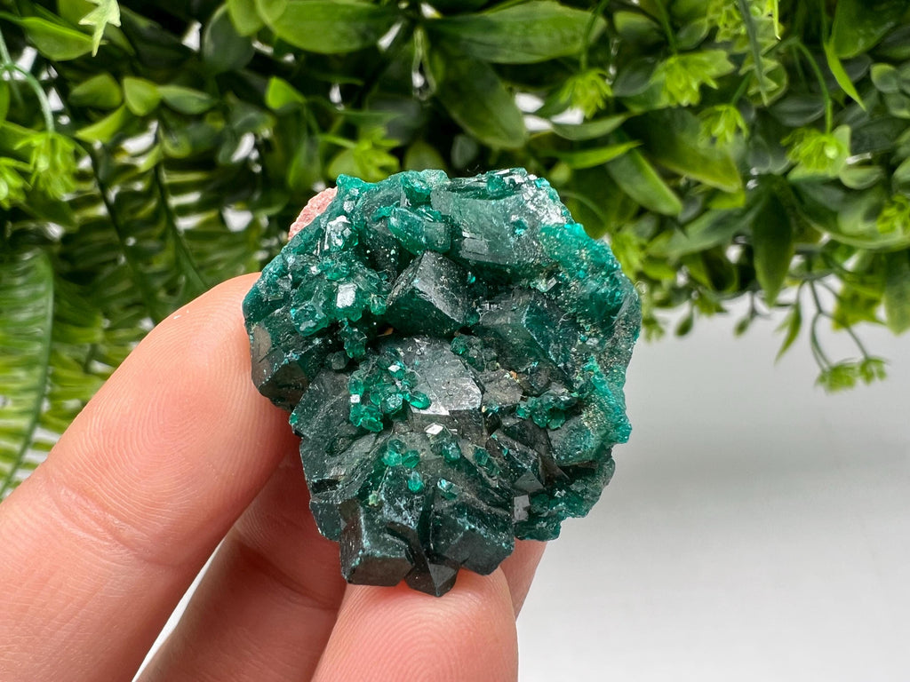 Stunning Green Dioptase from Sanda Hills,Mindouli,Pool Department,Mindouli District,Congo,green Dioptase,Dioptas Crystal,Dioptase collecting