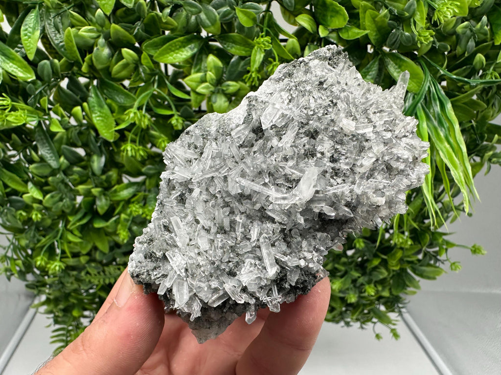 Wonderful Transparent Quartz on Chlorite Matrix,From Borieva mine,Madan,Bulgaria,Quartz,Quartz crystal,mineral specimen,collection quartz