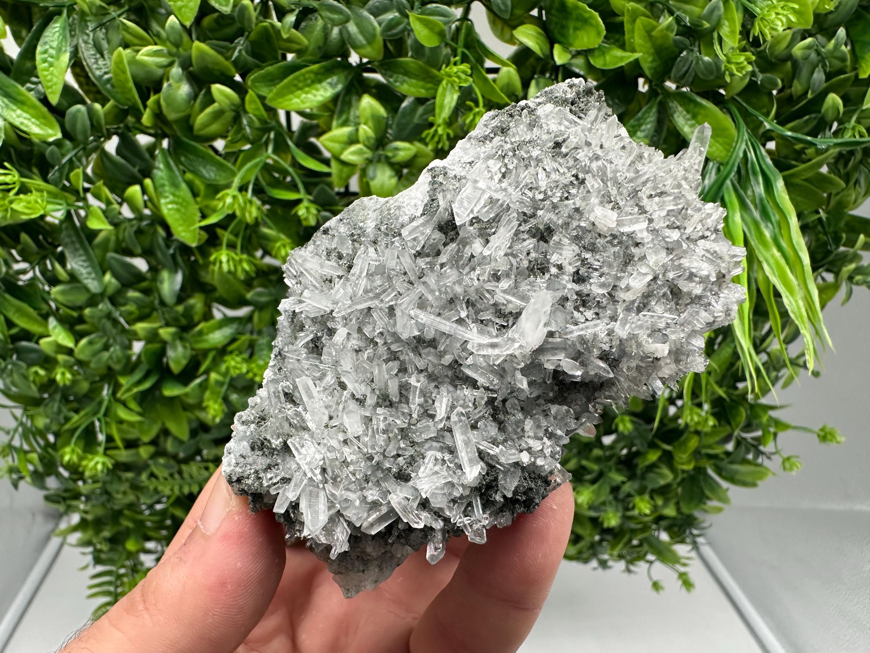 Wonderful Transparent Quartz on Chlorite Matrix,From Borieva mine,Madan,Bulgaria,Quartz,Quartz crystal,mineral specimen,collection quartz