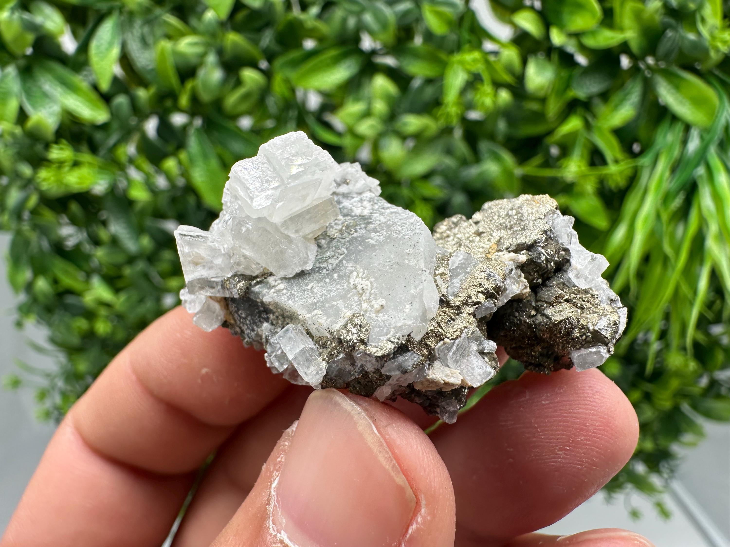 Barite Marcasite on Chalcedony, Androvo Mine, Bulgaria