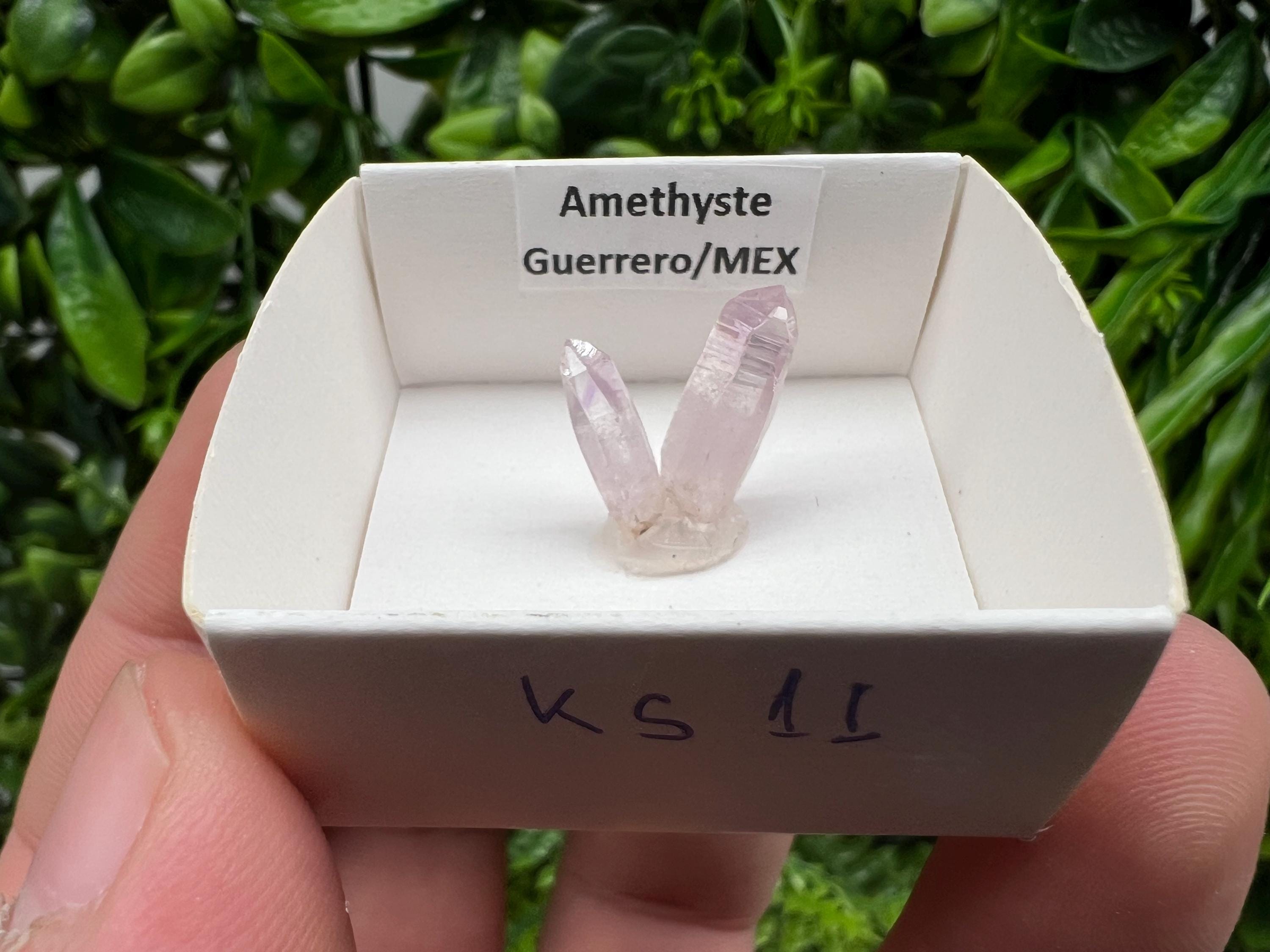 Mexican Amethyst Specimen: Crystal Collector Mineral (20mm)