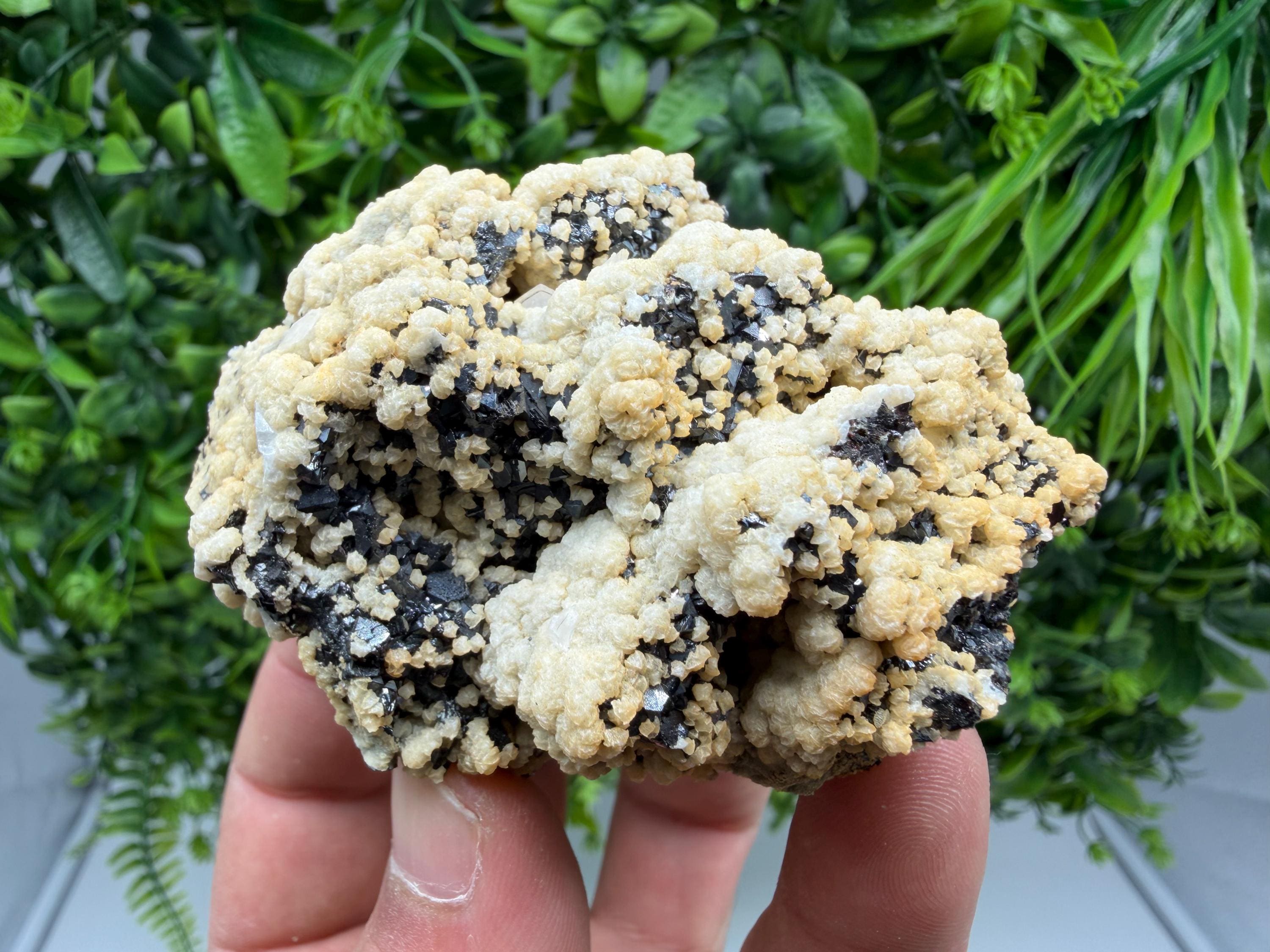 Aesthetic Sphalerite,Dolomite Krushev dol  mine Madan Bulgaria natural minerals souvenir crystal gift home decor stone rock