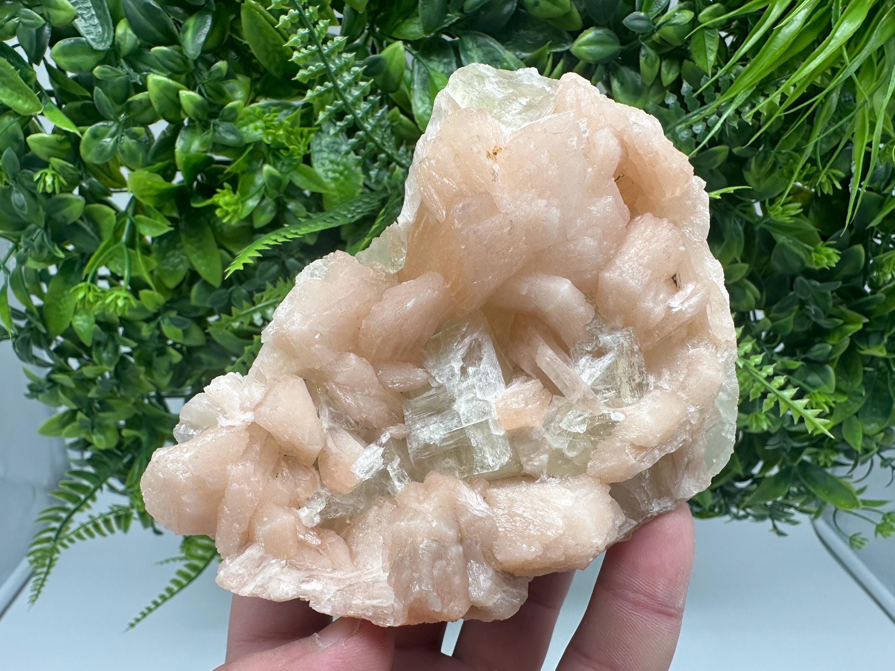 Apophyllite Stilbite on Chalcedony, India Crystal Specimen