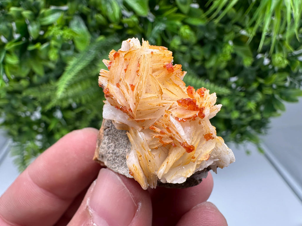Red Vanadinite on Barite from Marocco,crystal minerals Speciment cluster Vanadinite crystal Vanadinite Geology Vanadinite cluster minerals