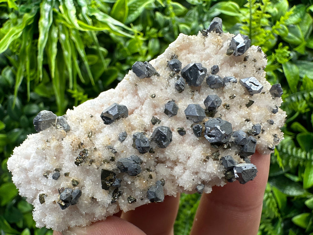 Galena with Chalcopyrite on Mangano Calcite: Natural Mineral Crystal Decor