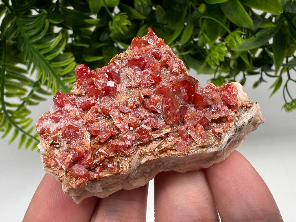 Red Vanadinite on Barite Specimen, Morocco Mineral Cluster