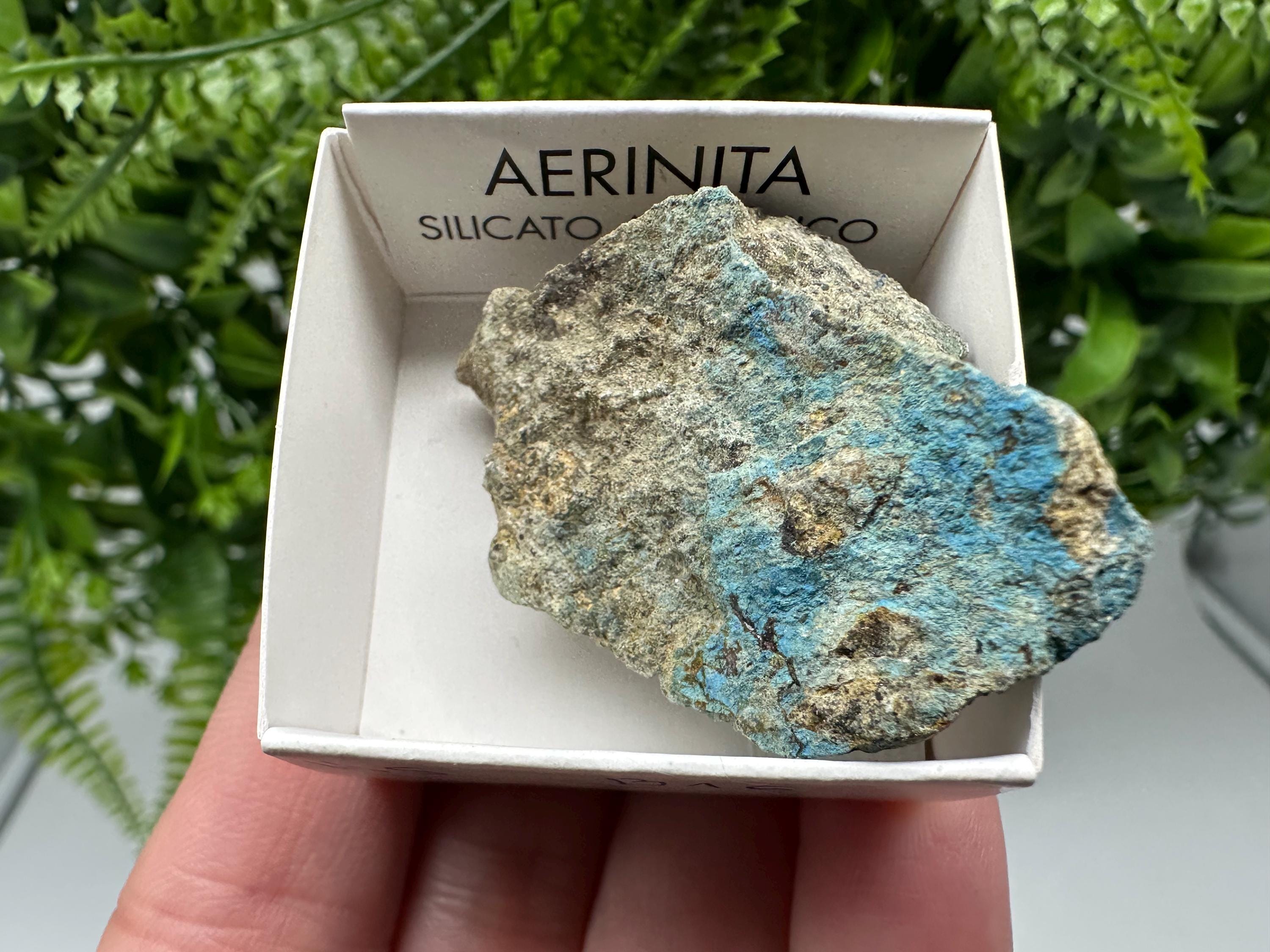 Rare Raw Aerinite Mineral Specimen: Lleida, Spain Crystal