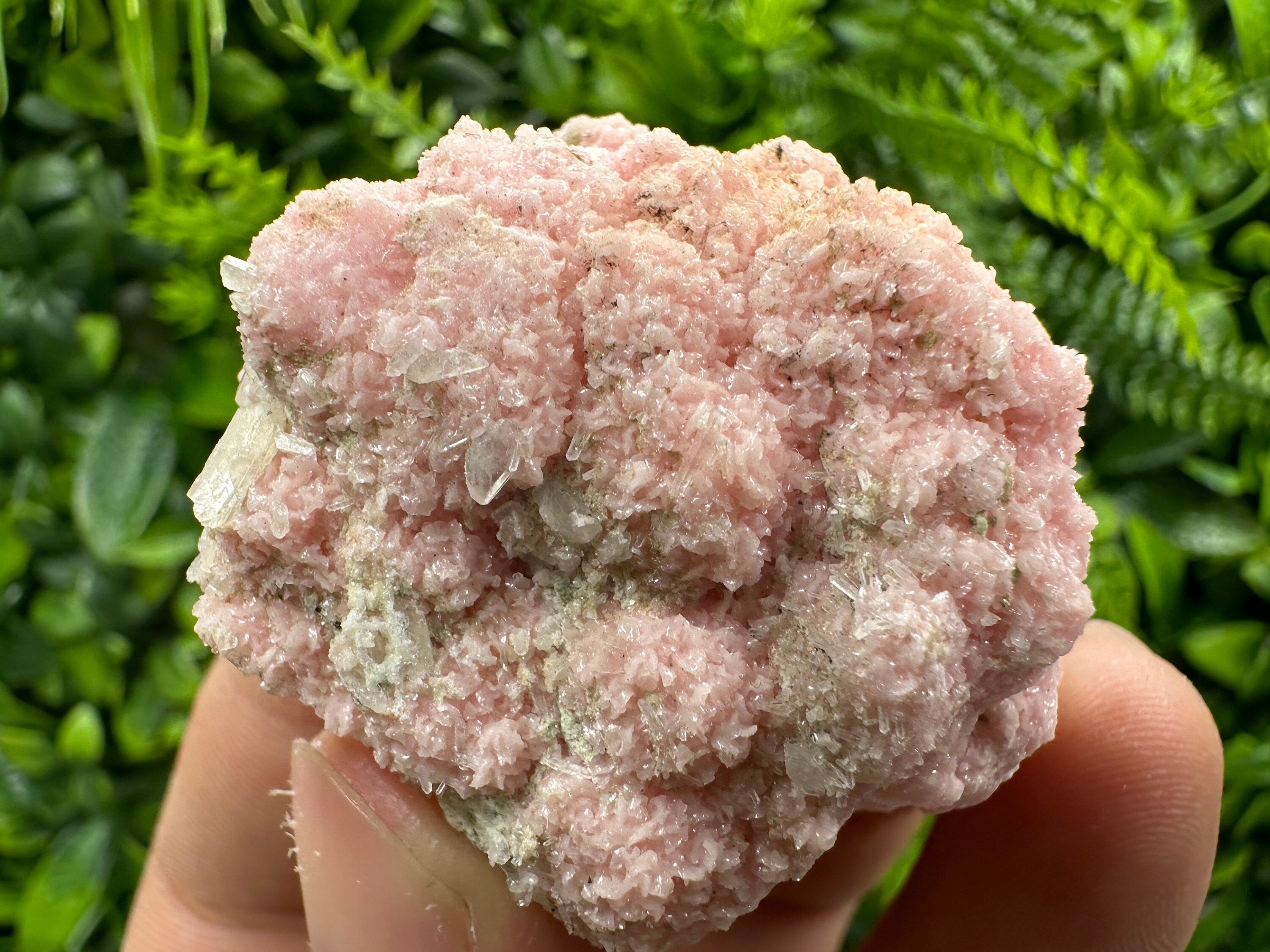 Pink Rhodochrosite Crystal: Starnica Mine, Bulgaria - Home Decor Stone