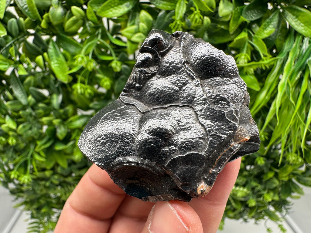 Botryoidal Black Hematite Specimen: Moroccan Crystal for Reiki Chakra
