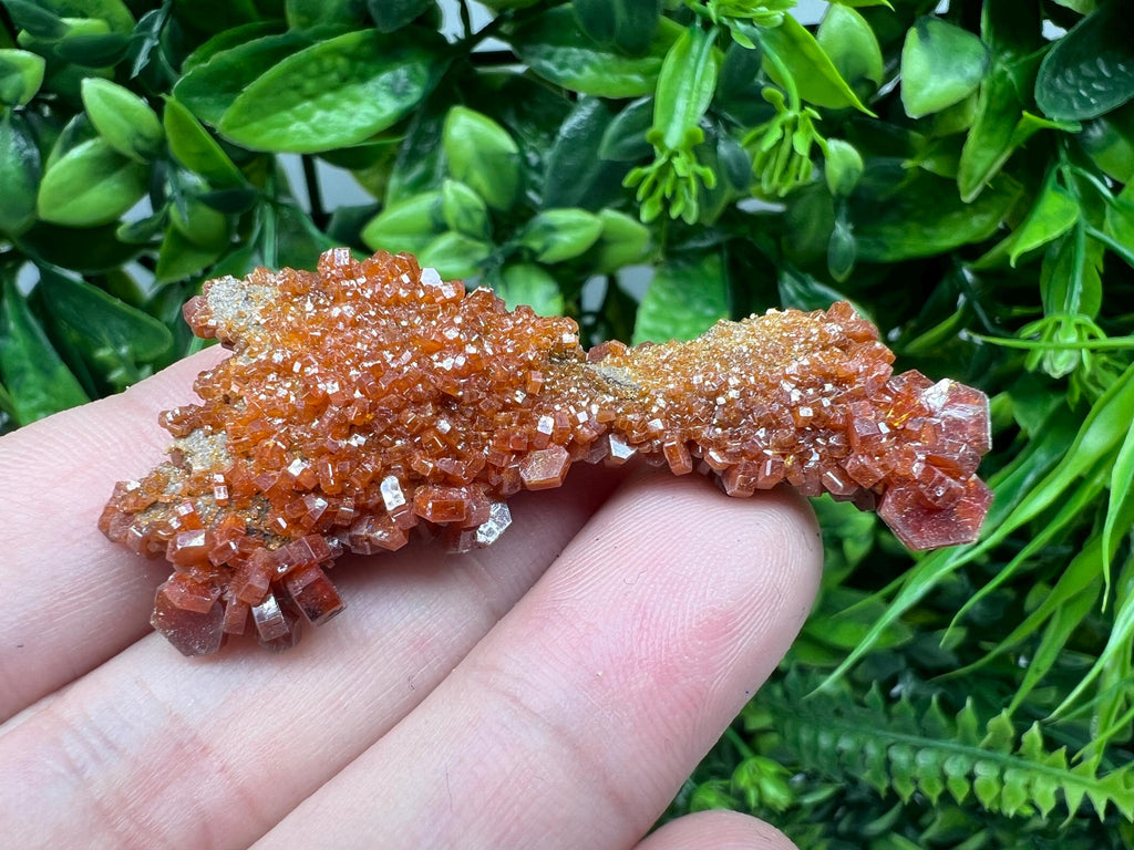 Red Vanadinite on Barite from Marocco,crystal minerals Speciment cluster Vanadinite crystal Vanadinite Geology Vanadinite cluster minerals