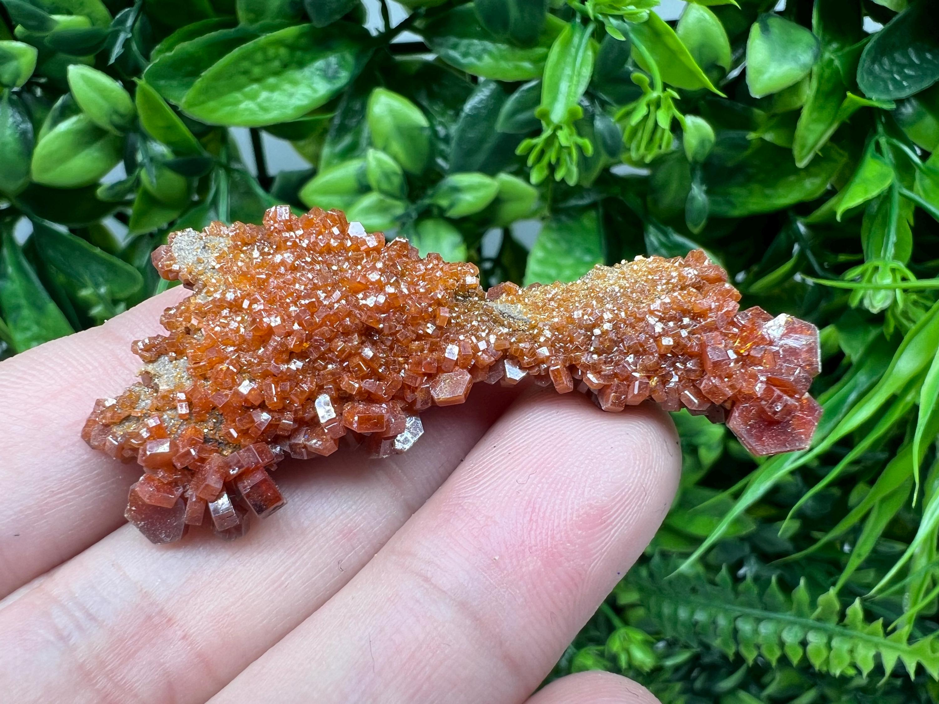 Red Vanadinite on Barite from Marocco,crystal minerals Speciment cluster Vanadinite crystal Vanadinite Geology Vanadinite cluster minerals