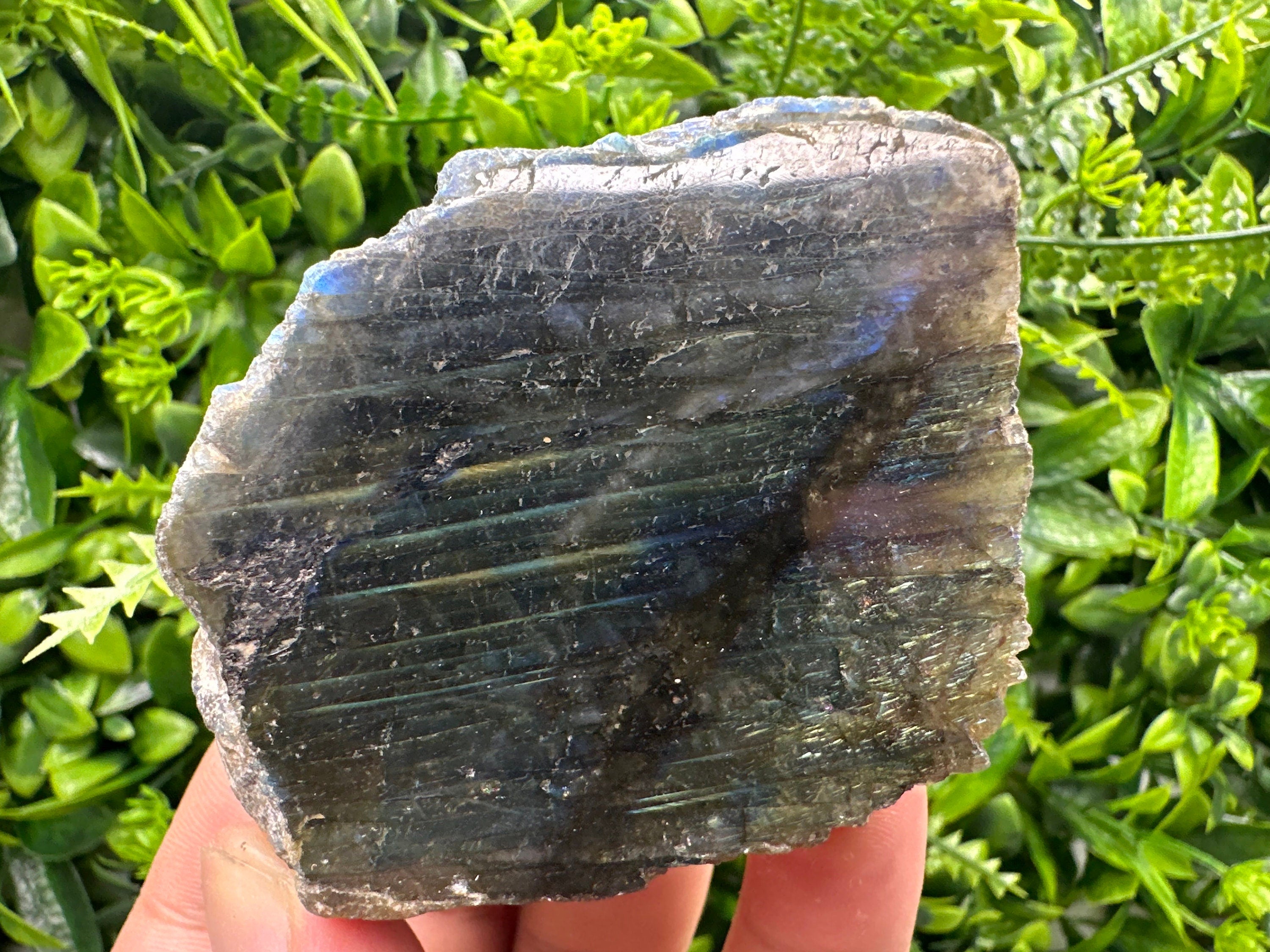 Natural Multifire Labradorite Slab: Polished Crystal Decor (7/6/4.5)