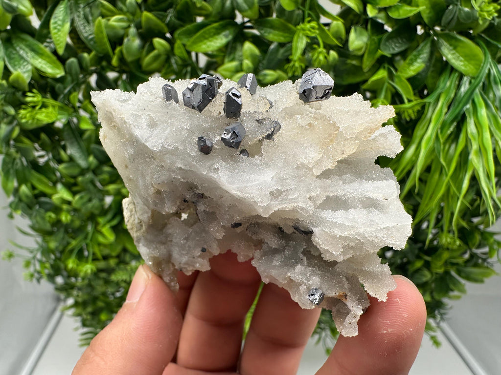 Rare Galena on Chalcedony Specimen, Krushev dol Mine, Bulgaria