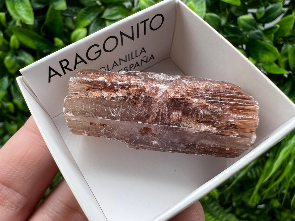 Amazing Aragonite from Spain,Aragonite crystal,cluster,natural,mineral,specimen,Purple Aragonite,Spanish Aragonite,Mineralcollection