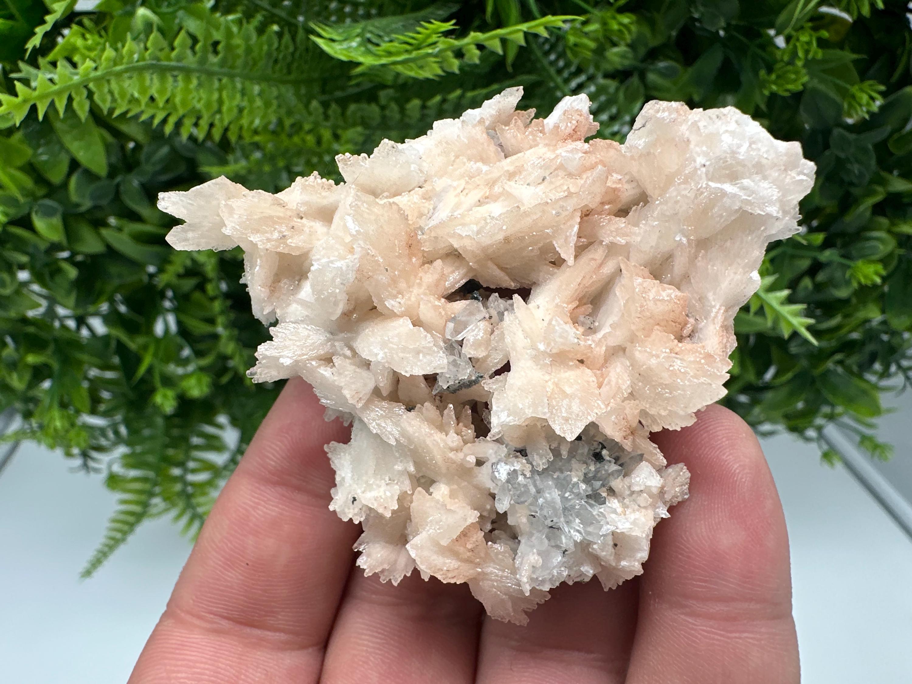 Calcite on Green Quartz: Djurcovo Mine, Bulgaria Crystal