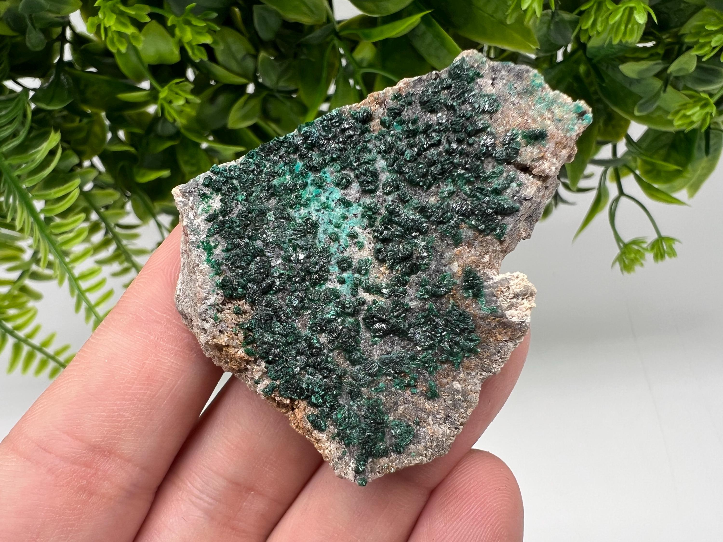 Malachite Crystal from Congo,Minerals,Crystals from Congo,Green Malachite, Malachite,Natural Malachite,Malachite Stone,Chakra, Specimens