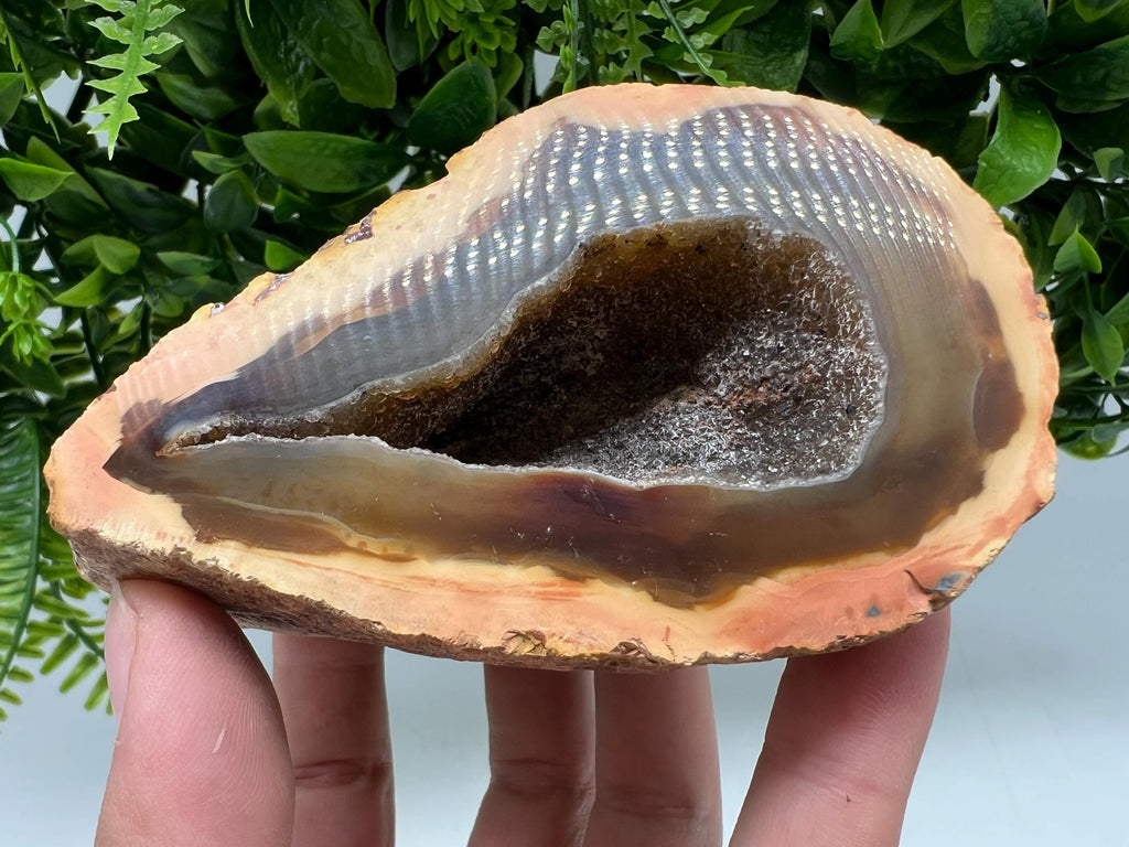 Natural Druzy Agate Geode, Quartz Crystal