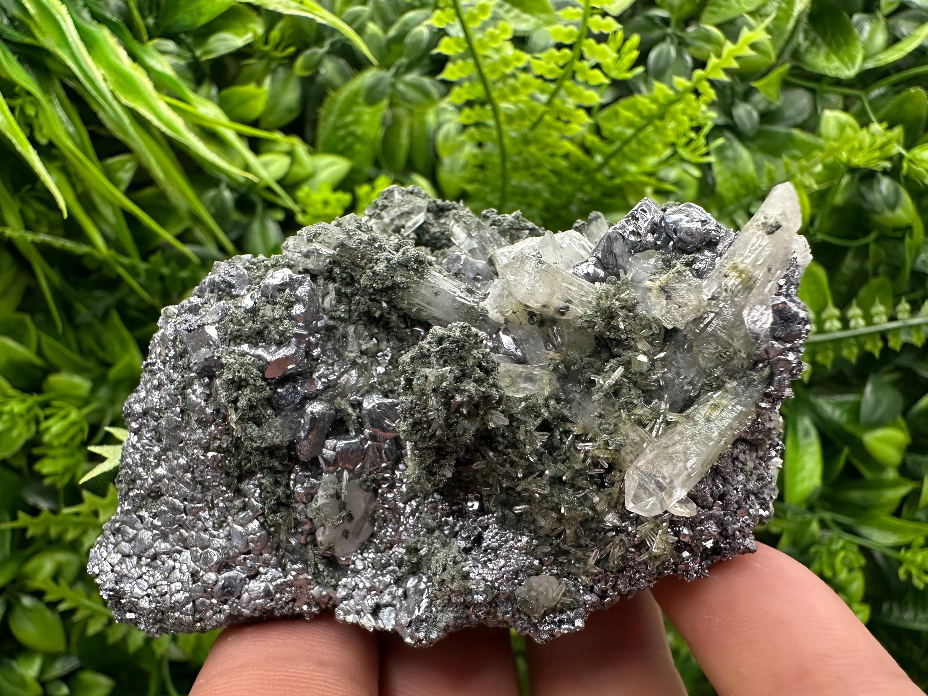 Galena with Quartz and Chlorite, Bulgaria Mineral Specimen