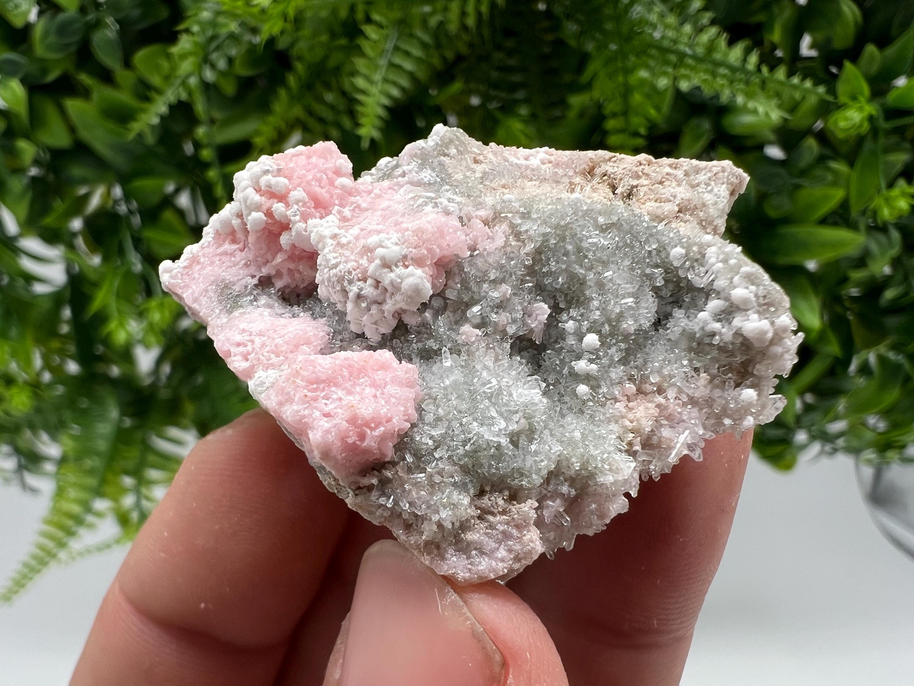 RARE Rhodochrosite with Calcite: Starnica Mine, Bulgaria