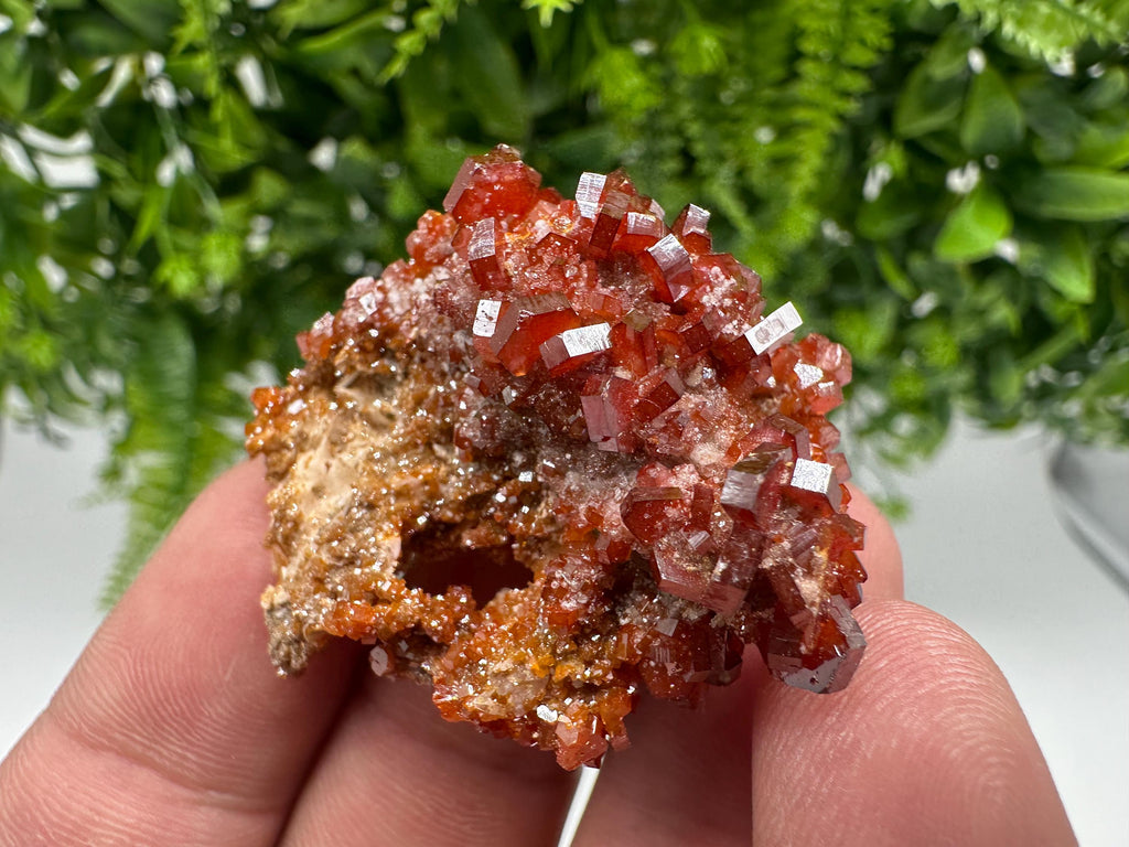 Red Vanadinite on Barite from Marocco,crystal minerals Speciment cluster Vanadinite crystal Vanadinite Geology Vanadinite cluster minerals