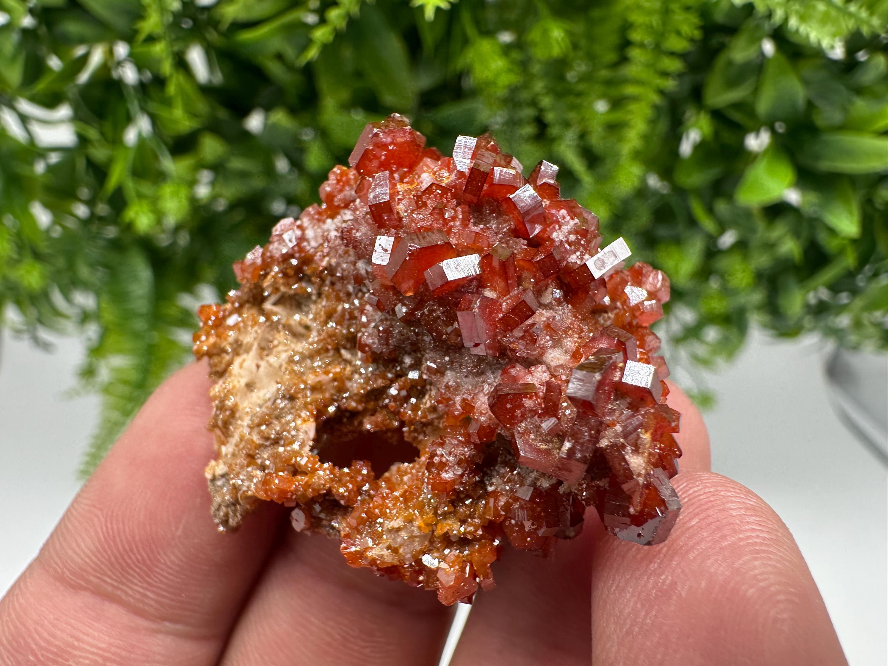 Red Vanadinite on Barite from Marocco,crystal minerals Speciment cluster Vanadinite crystal Vanadinite Geology Vanadinite cluster minerals