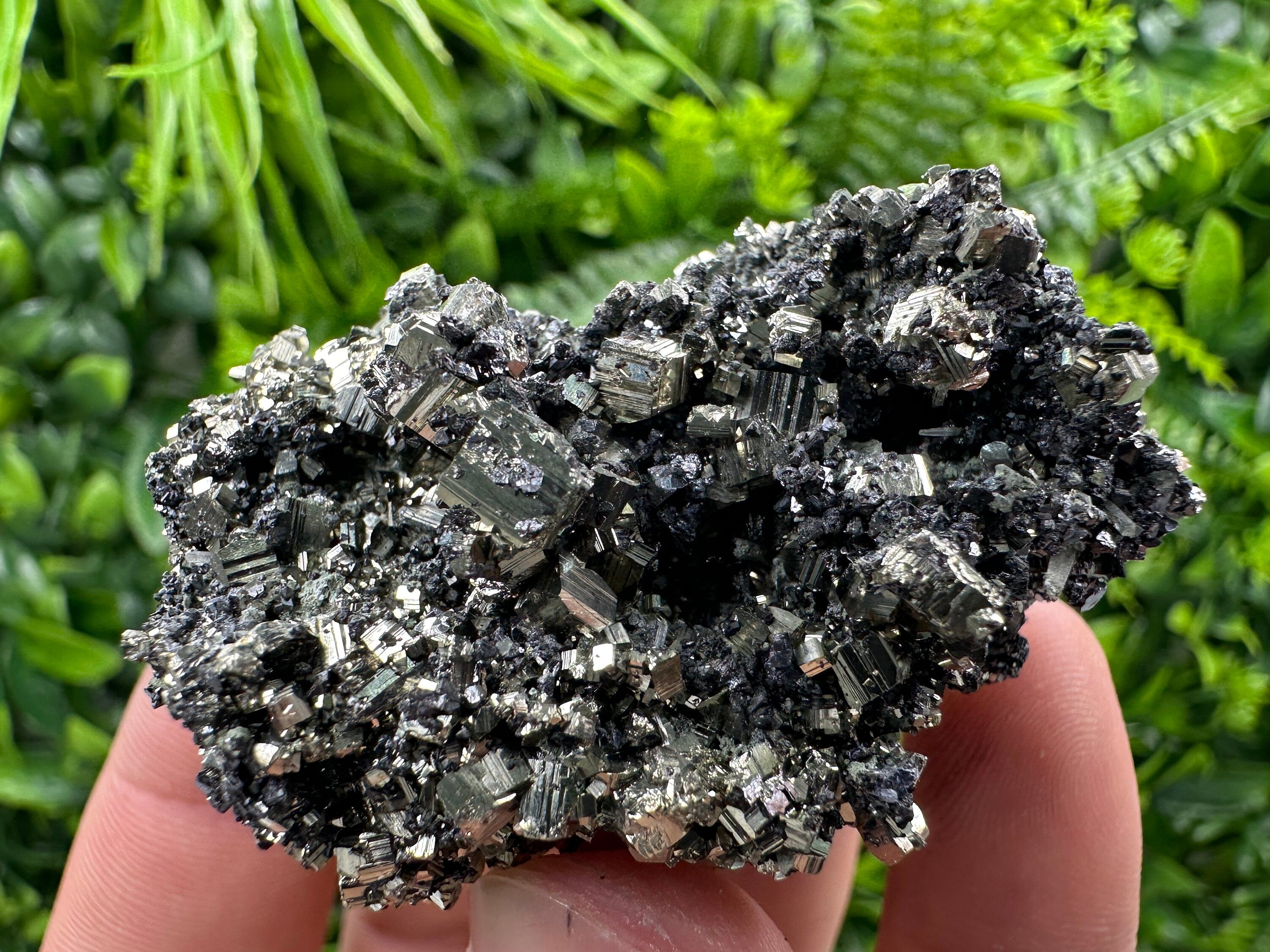 Pyrite on Quartz Needles, Borieva Mine Bulgaria, Mineral Specimen