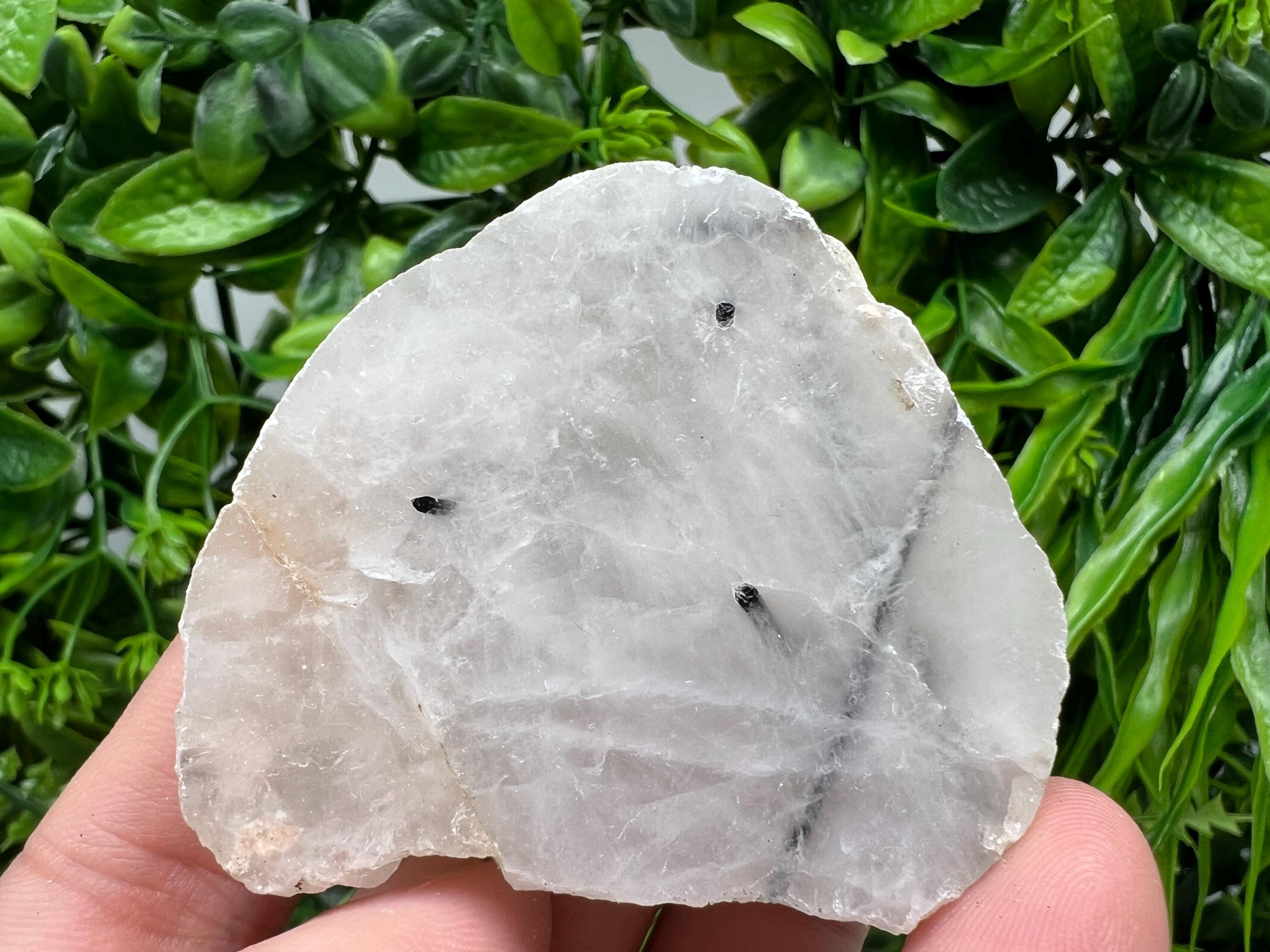 Quartz with Black Tourmaline Polished Slab: Crystal Slice