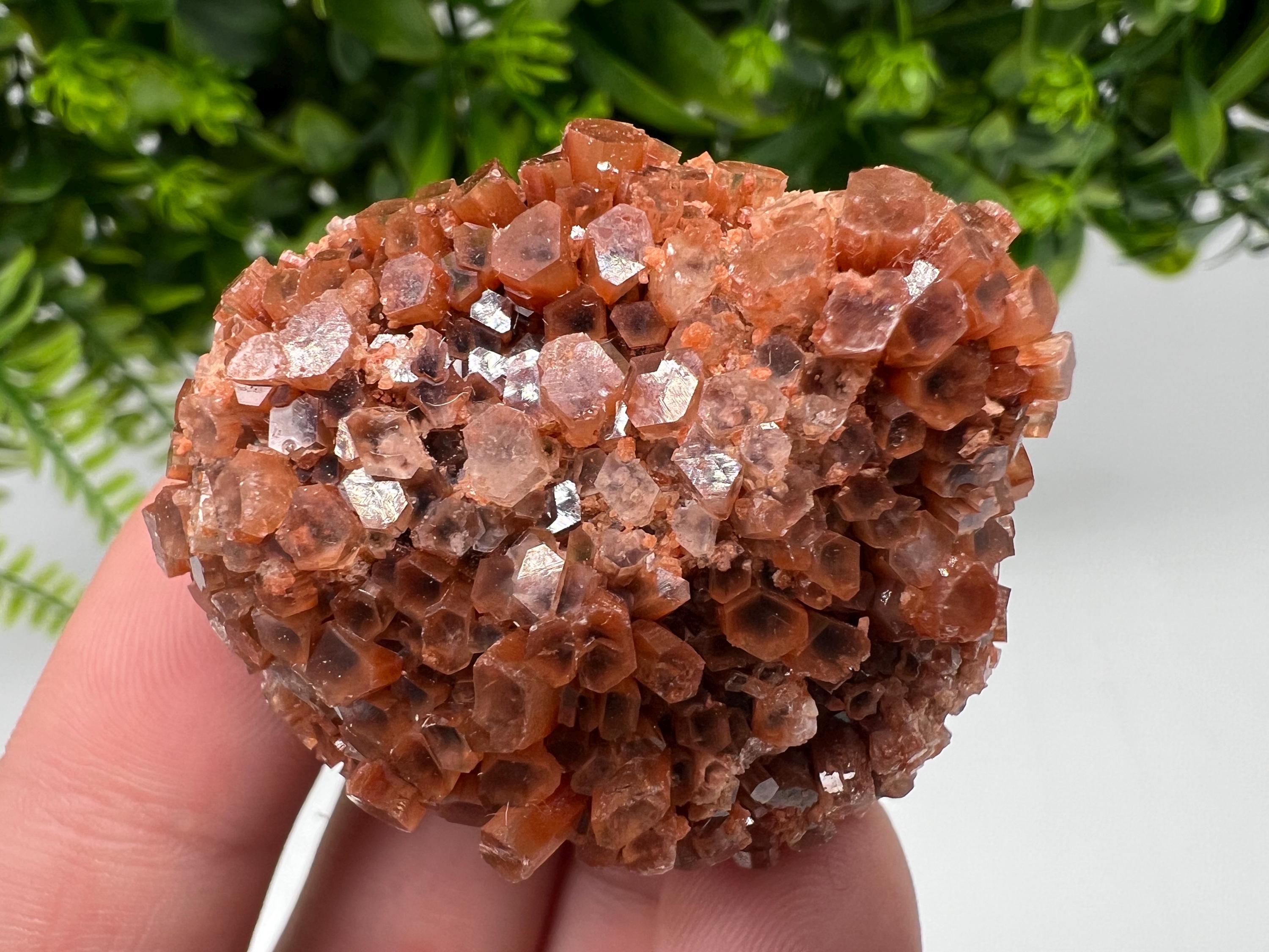 Extra Large Aragonite Sputnik Cluster: Raw Moroccan Crystal Decor