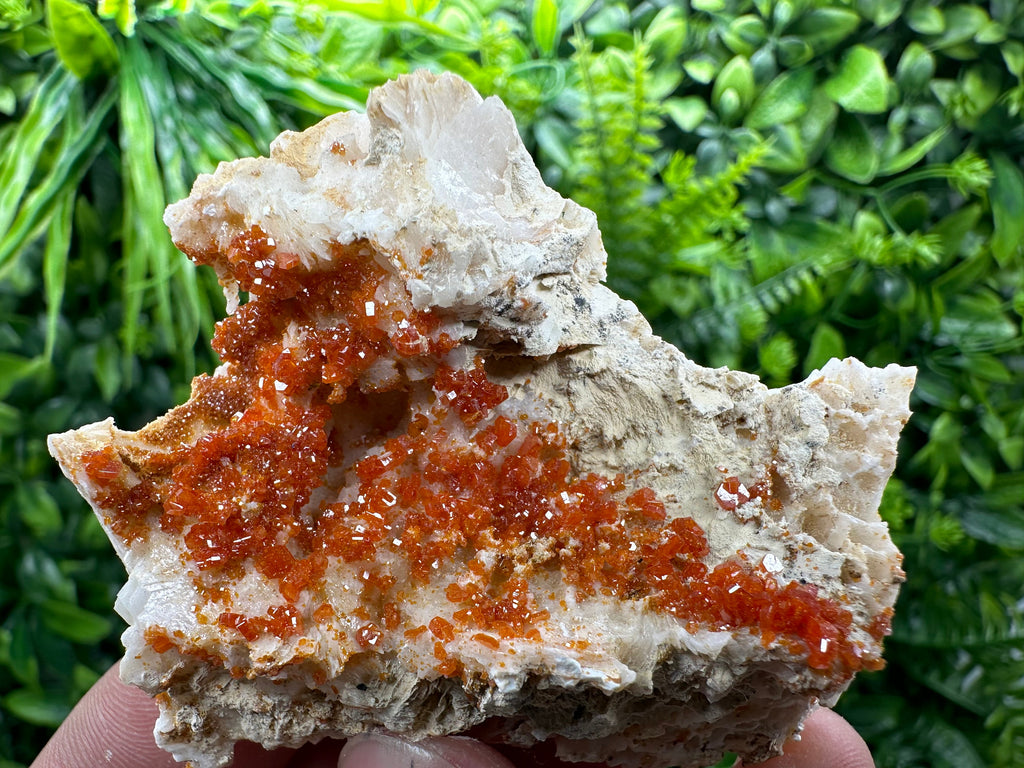 Red Vanadinite Crystal Cluster on Matrix, Morocco Mineral Specimen