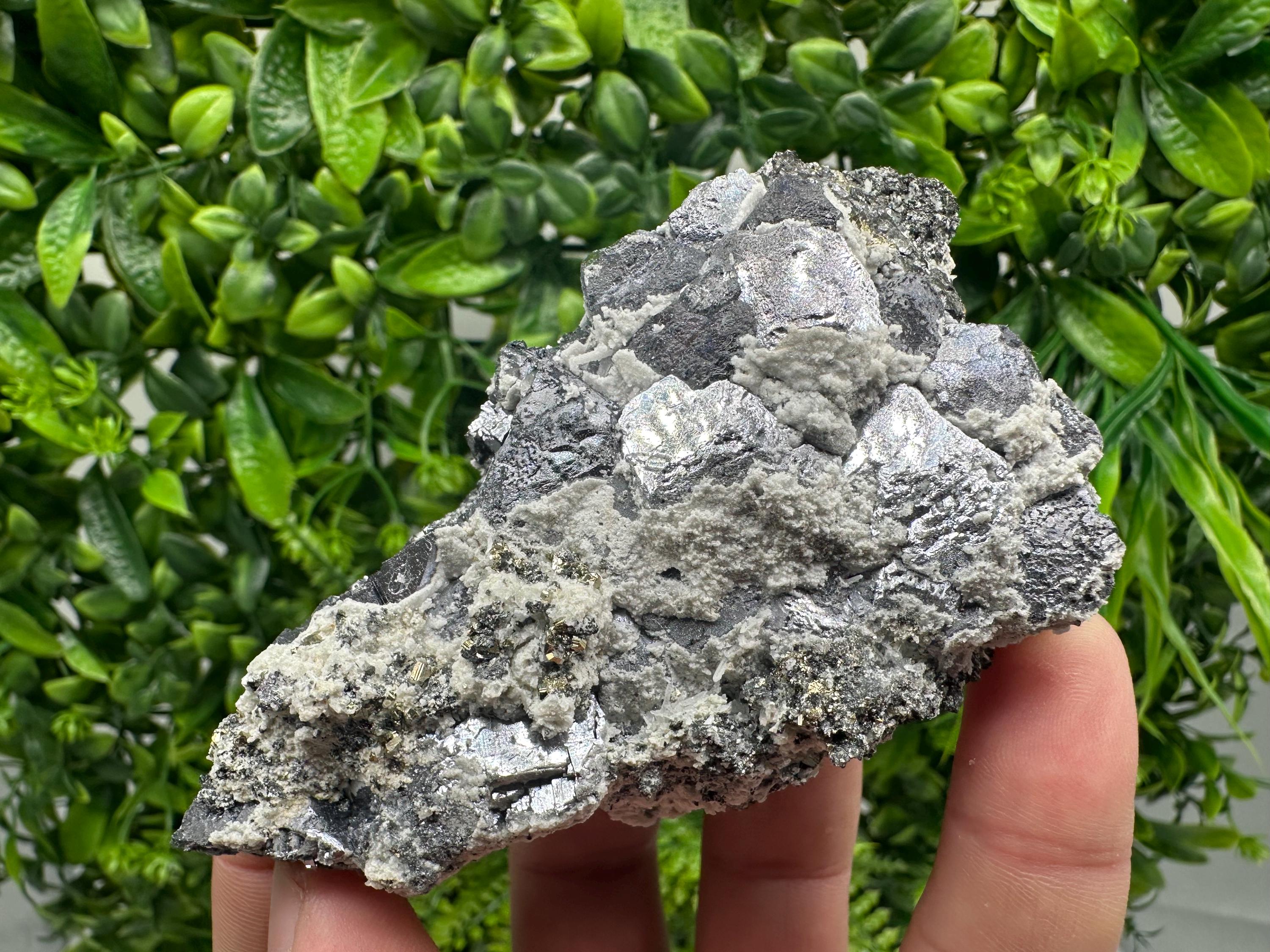 Galena with Quartz Specimen: Krushev Dol Mine, Bulgaria