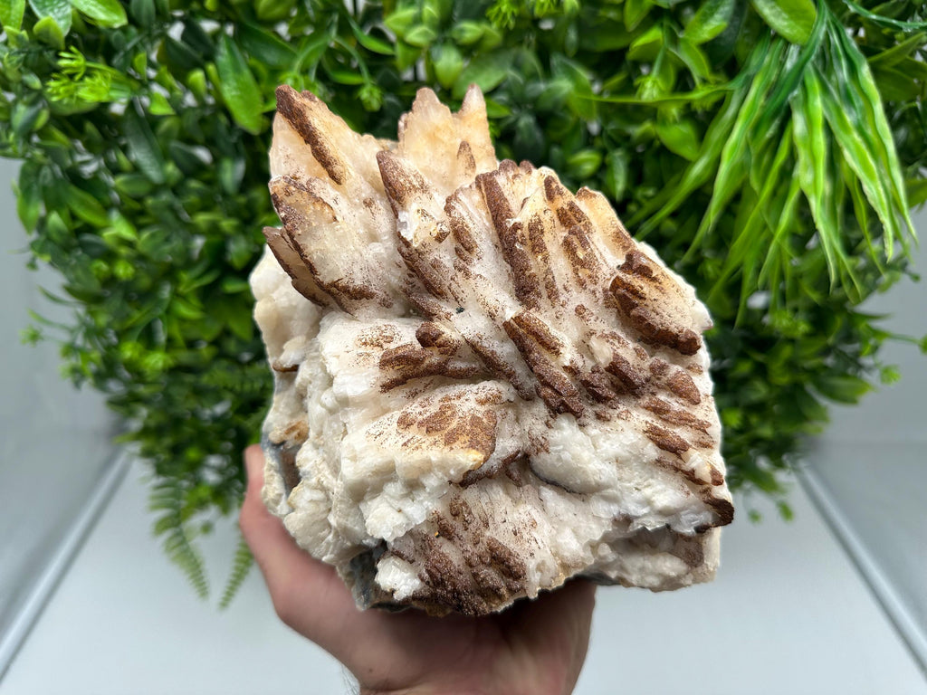 Stunning Brown Rhodochrosite on Calcite,Chalcedony,from Djurcovo mine,Bulgaria,natural collection mineral specimen,home decor crystal,gift