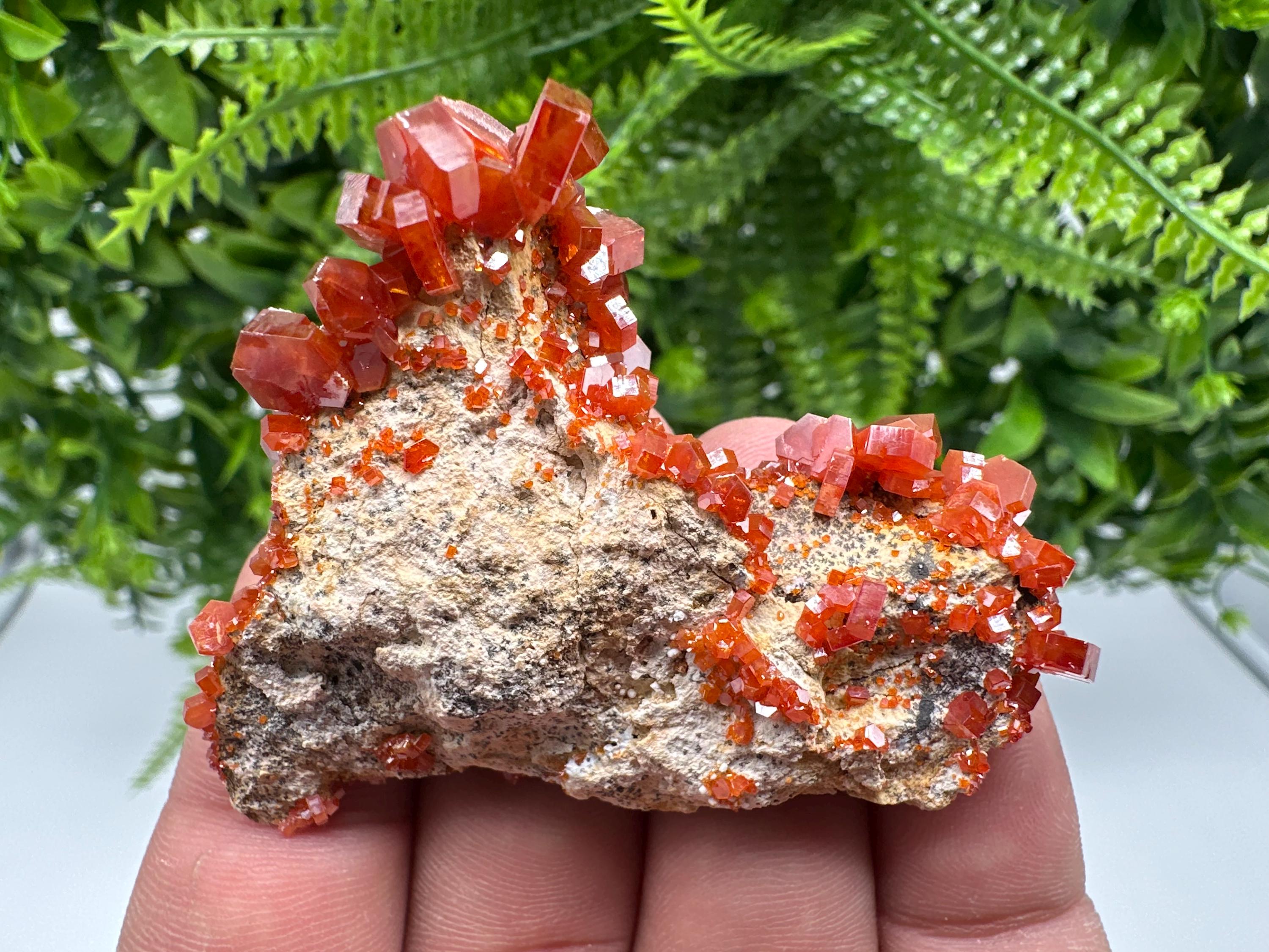 Red Vanadinite on Barite from Marocco,crystal minerals Speciment cluster Vanadinite crystal Vanadinite Geology Vanadinite cluster minerals