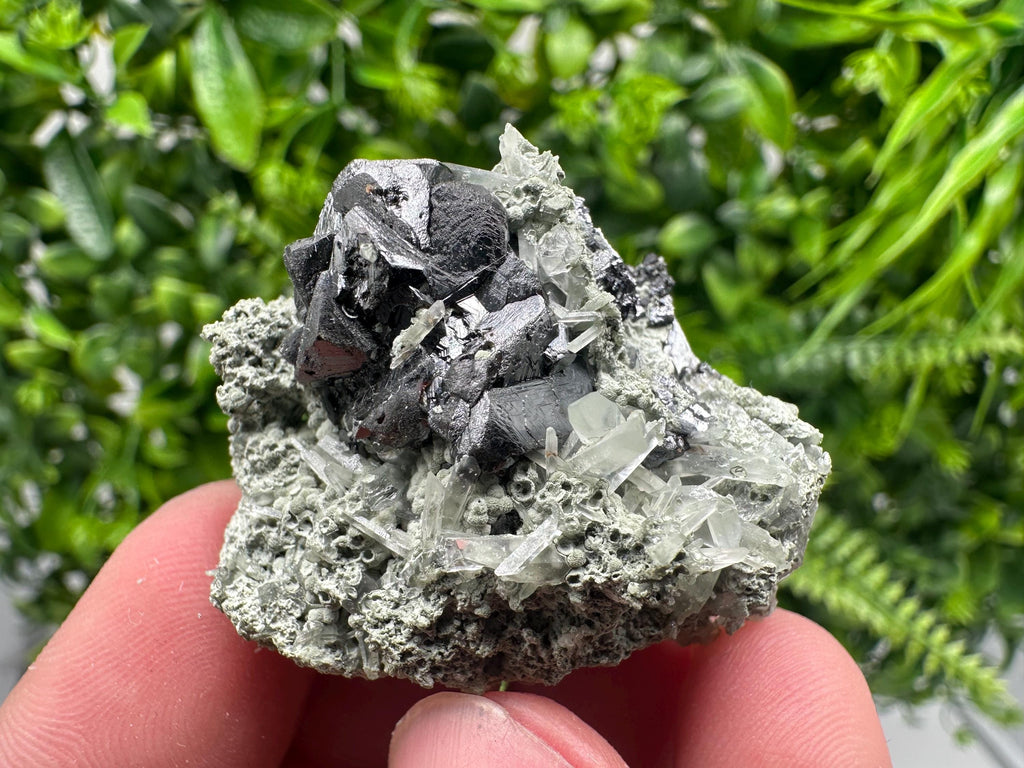 Sphalerite with Chlorite Mineral Specimen - Borieva Mine, Bulgaria