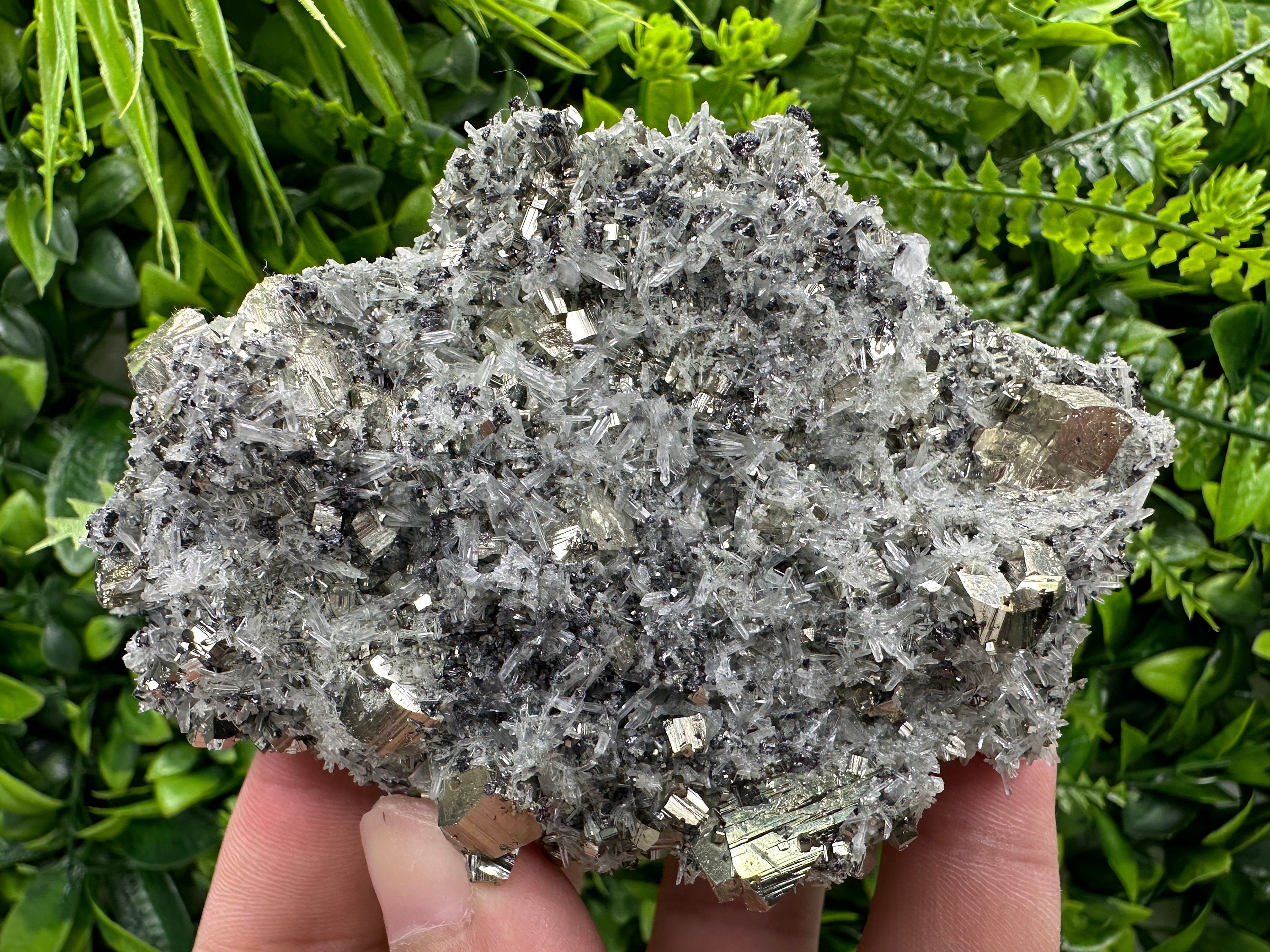 Pyrite on Quartz Needles: Borieva Mine Bulgaria Crystal Decor