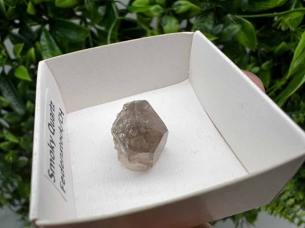 Rare Fedenstock Smoky Quartz Point, Swiss Mineral Specimen (20MM)