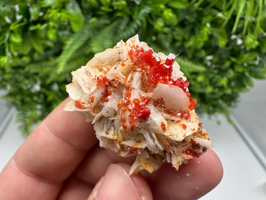 Red Vanadinite on Barite from Marocco,crystal minerals Speciment cluster Vanadinite crystal Vanadinite Geology Vanadinite cluster minerals