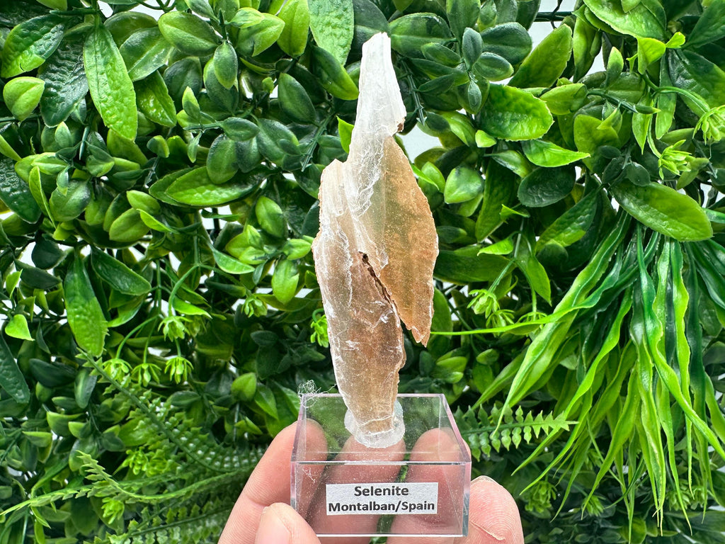 Golden Phantom Selenite Slab: Raw Utah Fishtail Selenite Wand