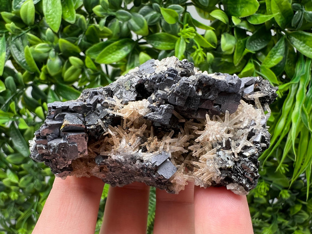 Galena Cluster with Siderite and Quartz, 9th September Mine, Bulgaria