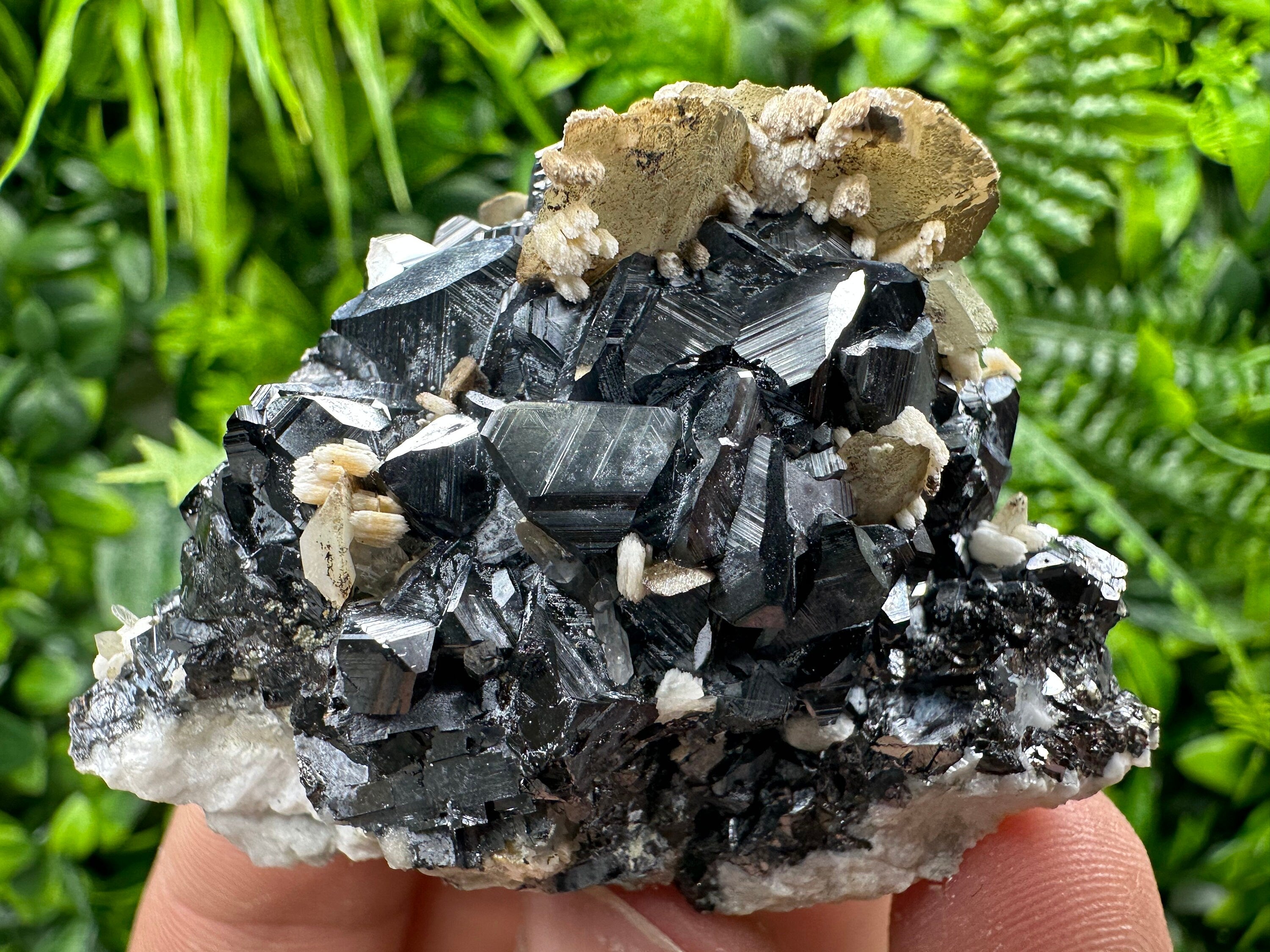 Calcite with Chlorite on Sphalerite, Borieva Mine Mineral Specimen