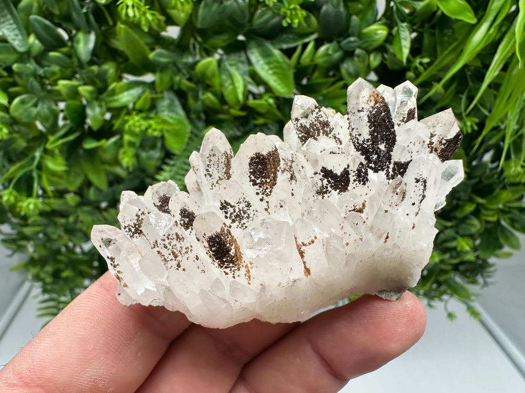 Transparent Quartz whit Siderite 9th September mine Bulgaria natural minerals souvenir crystal stone gift minerals collection rock