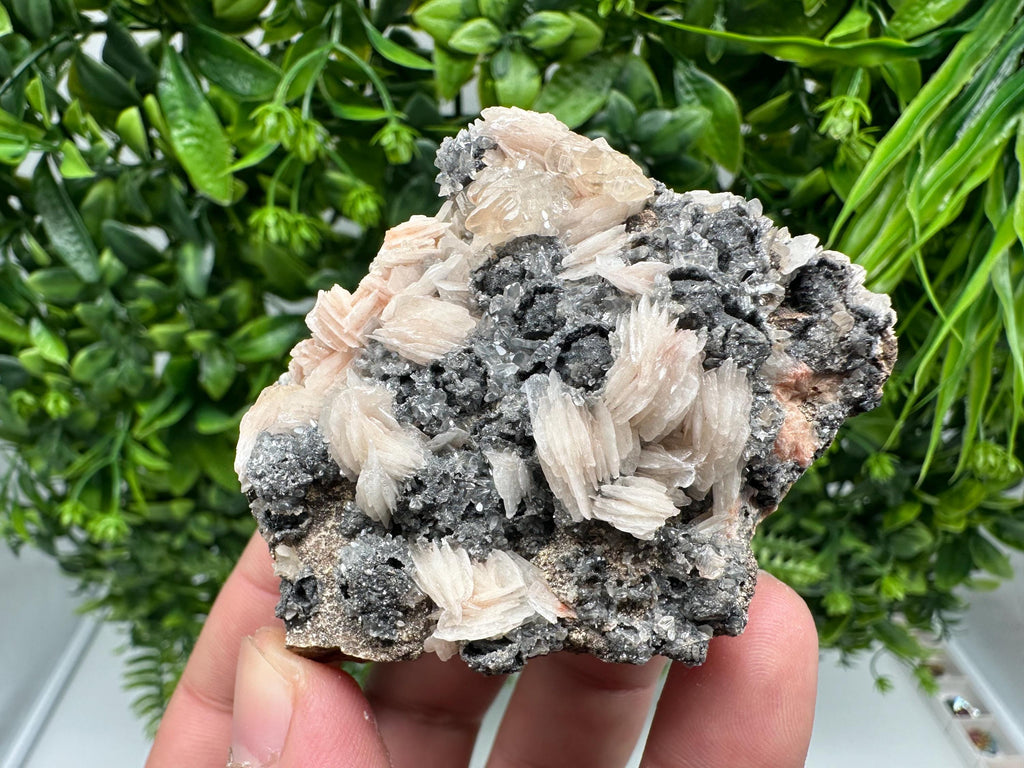 Wonderful Baryte with Cerussite on Galena from Morocco,Crystal, Mineral,Specimen,Cluster,Crystals,Barite Crystal,Cerussite Crystal,Specimen