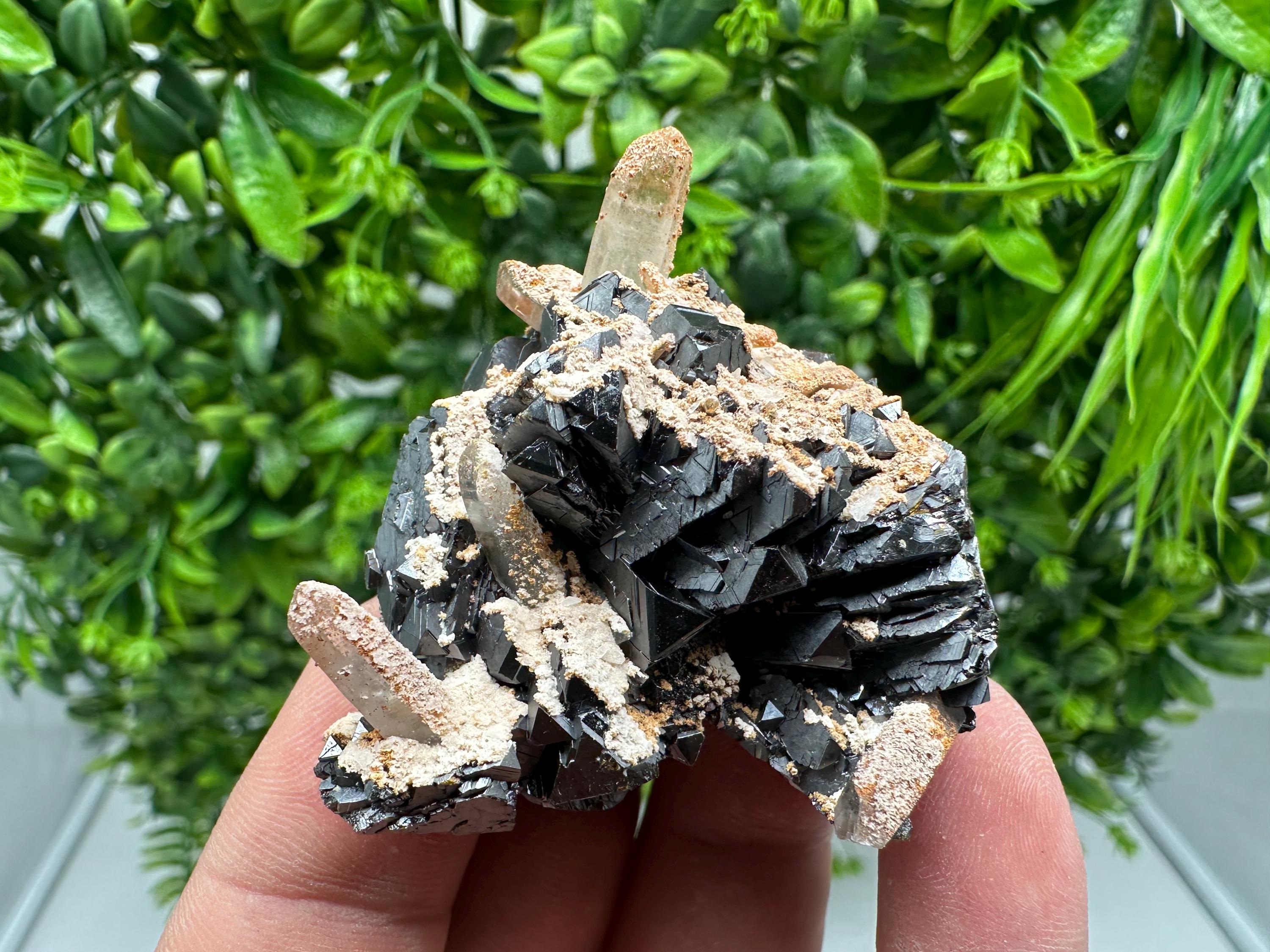 Wonderful Sphalerite Chalcopyrite on Green Quartz whit Hematite feom 9 th September mine,Bulgaria,natural,collection mineral specimen,gift