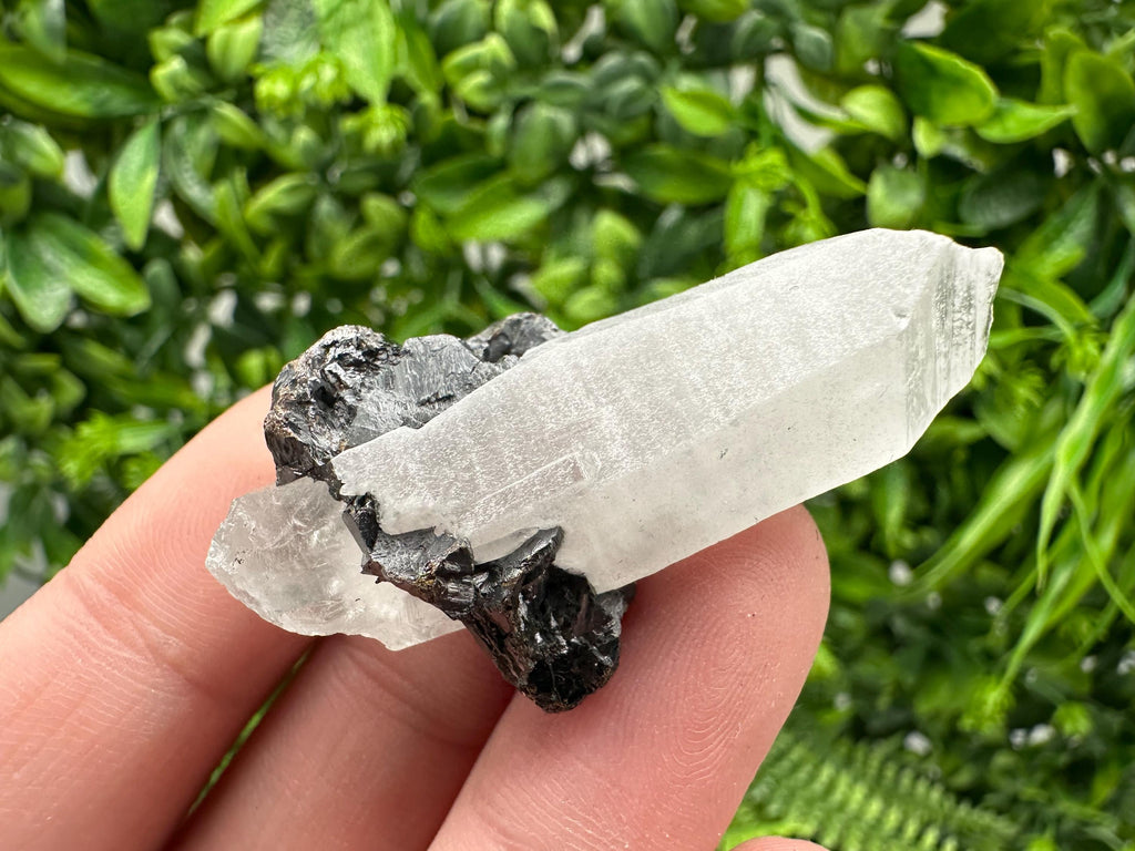 Wonderful Sphalerite Chalcopyrite on  Quartz whit Galena feom 9 th September mine,Bulgaria,natural,collection mineral specimen,gift