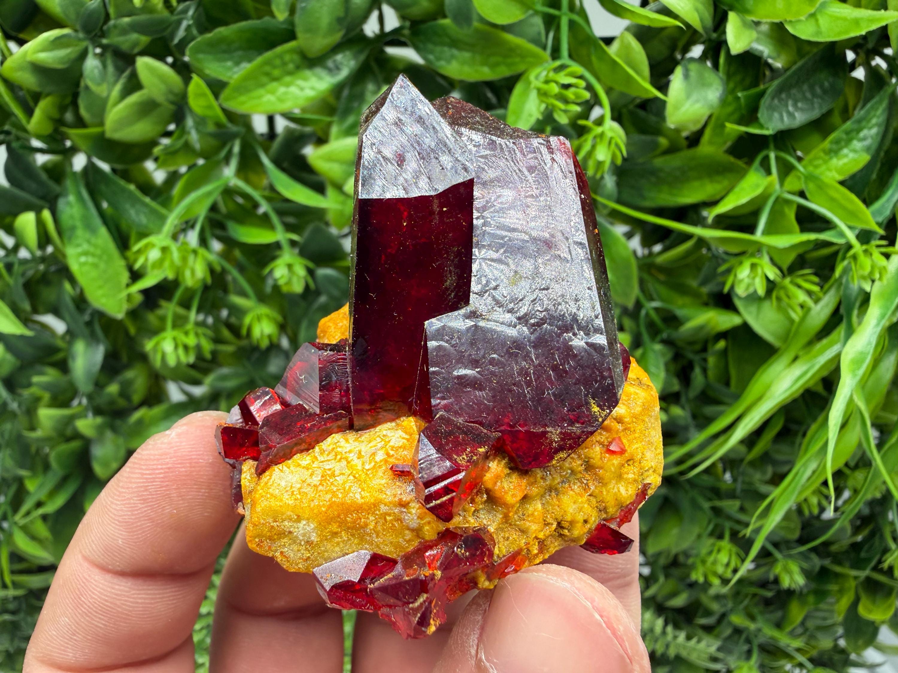 XXL Laboratory Pruskite Ruby Crystal on Matrix