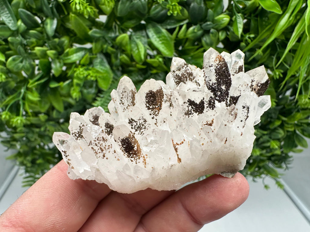 Transparent Quartz whit Siderite 9th September mine Bulgaria natural minerals souvenir crystal stone gift minerals collection rock