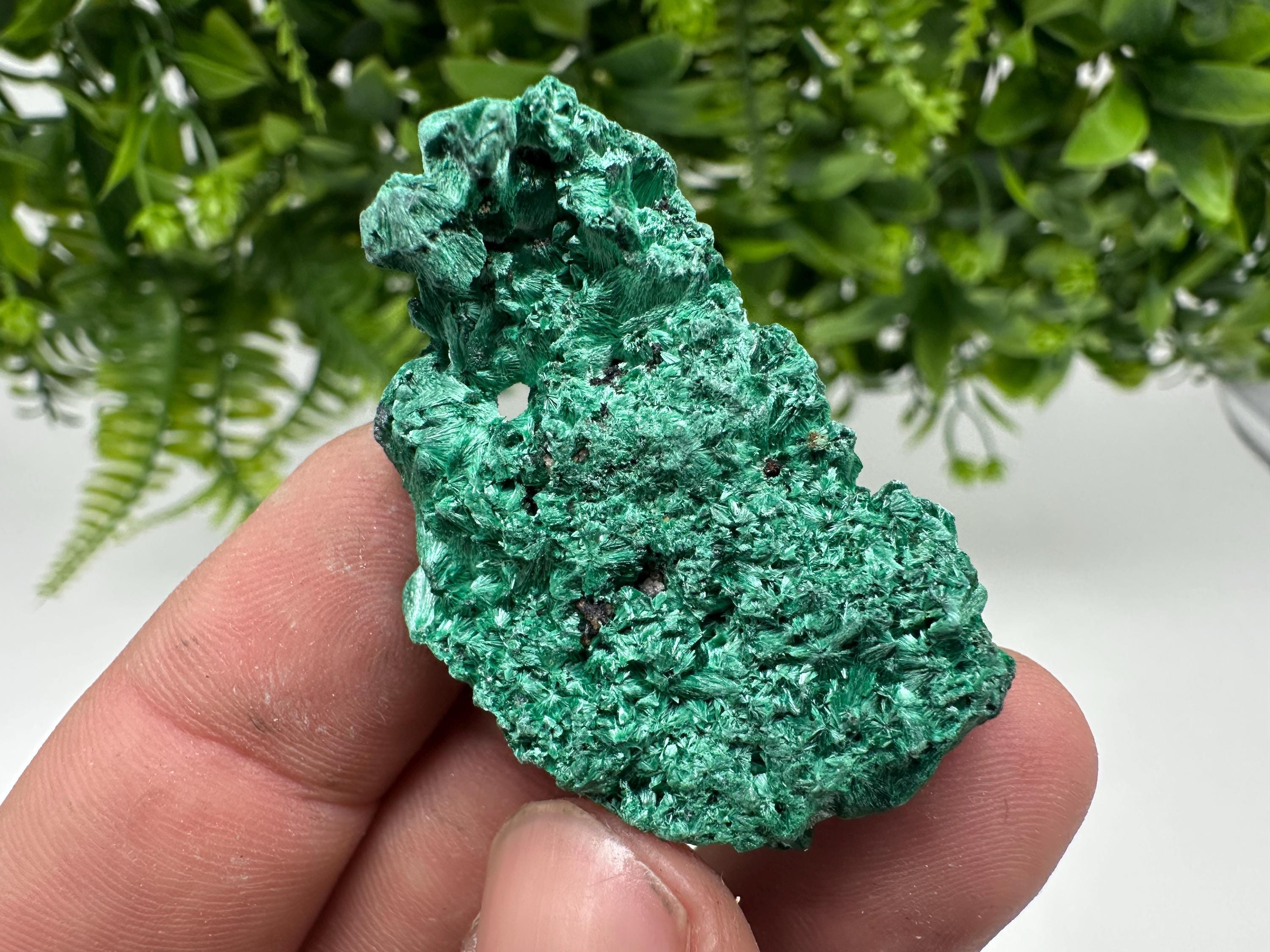 Malachite Crystal from Congo,Minerals,Crystals from Congo,Green Malachite, Malachite,Natural Malachite,Malachite Stone,Chakra, Specimens