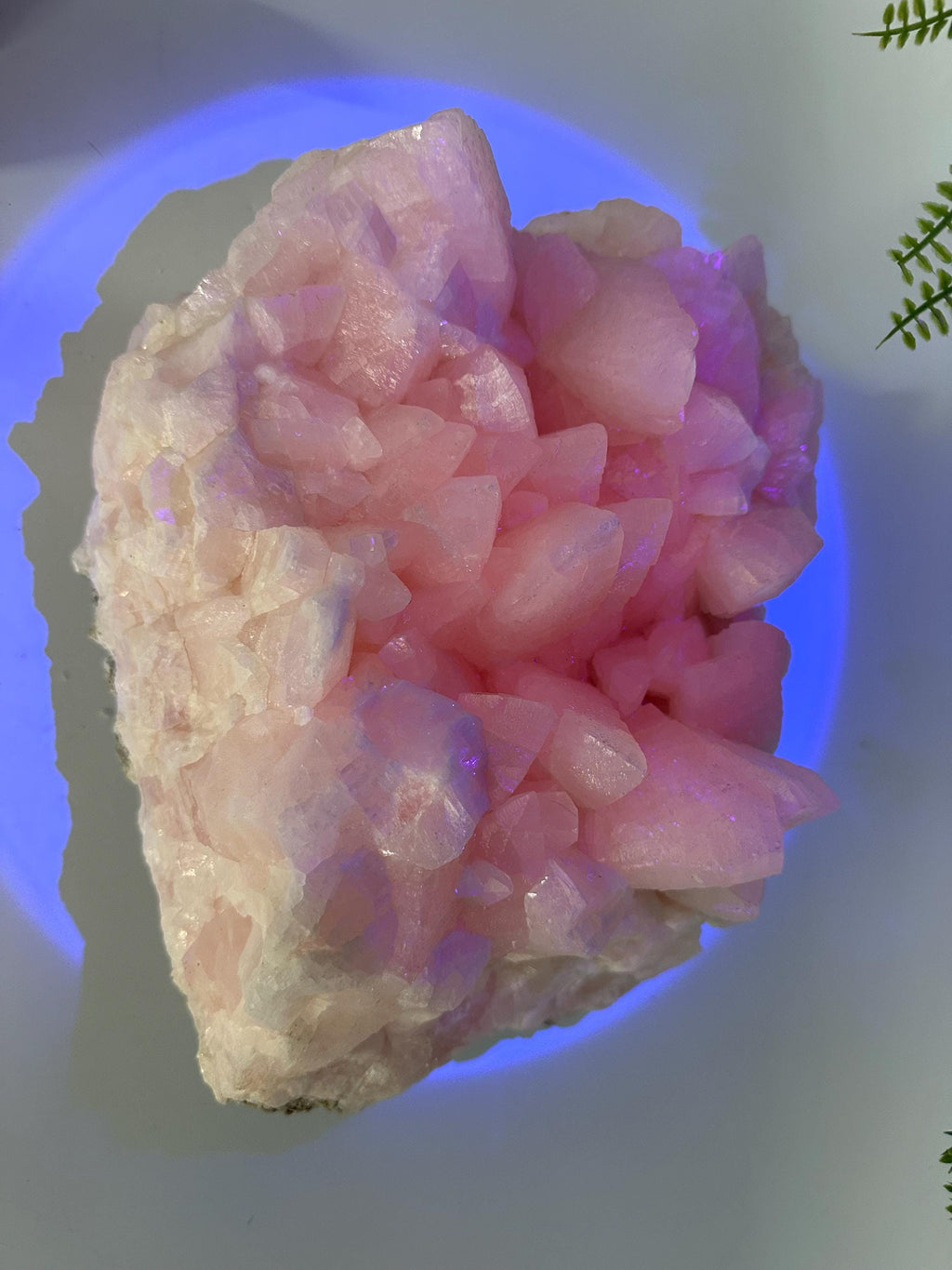 UV Reactive Mangano Calcite Crystal, Androvo Mine Bulgaria