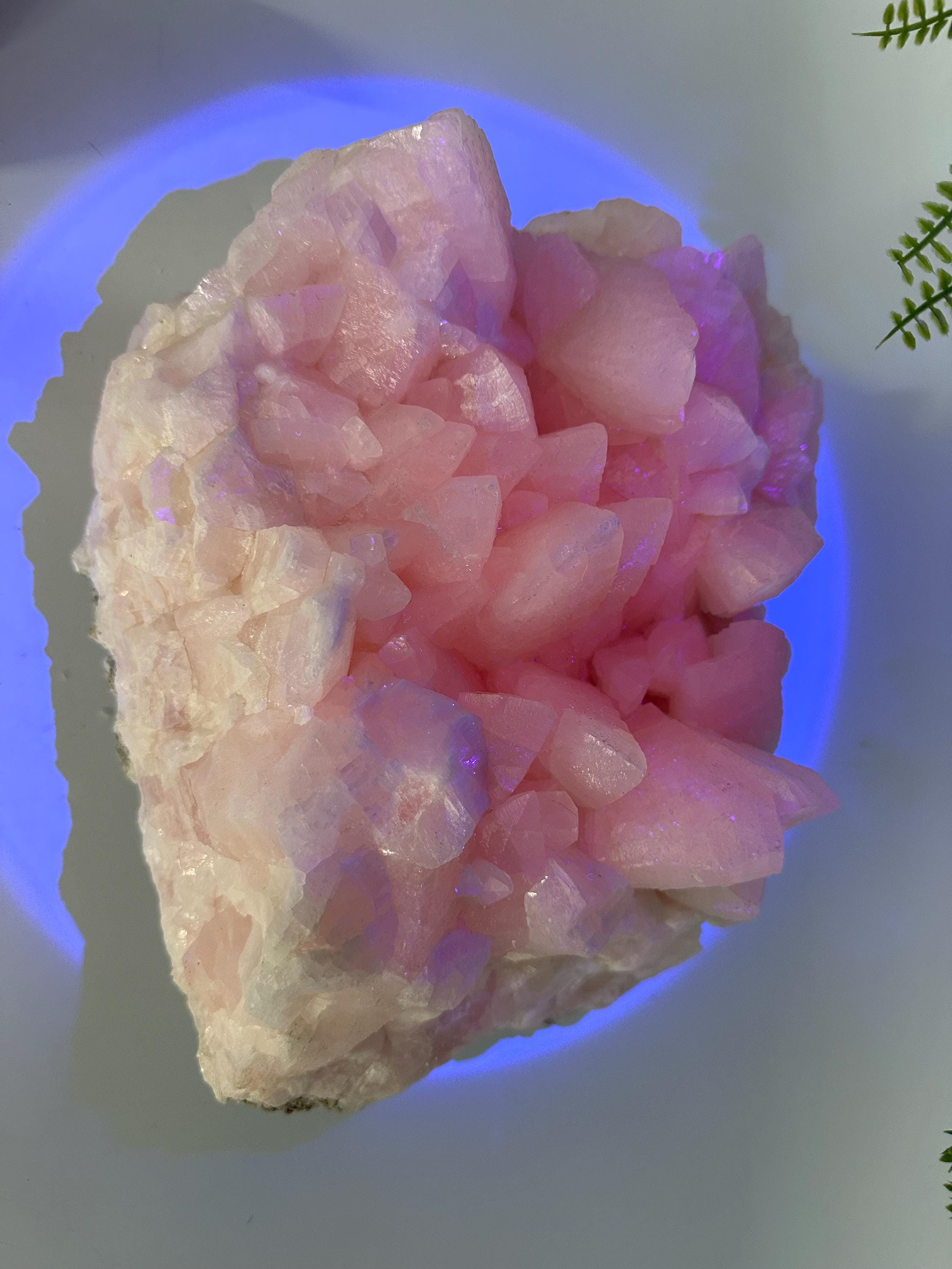 UV Reactive Mangano Calcite Crystal, Androvo Mine Bulgaria